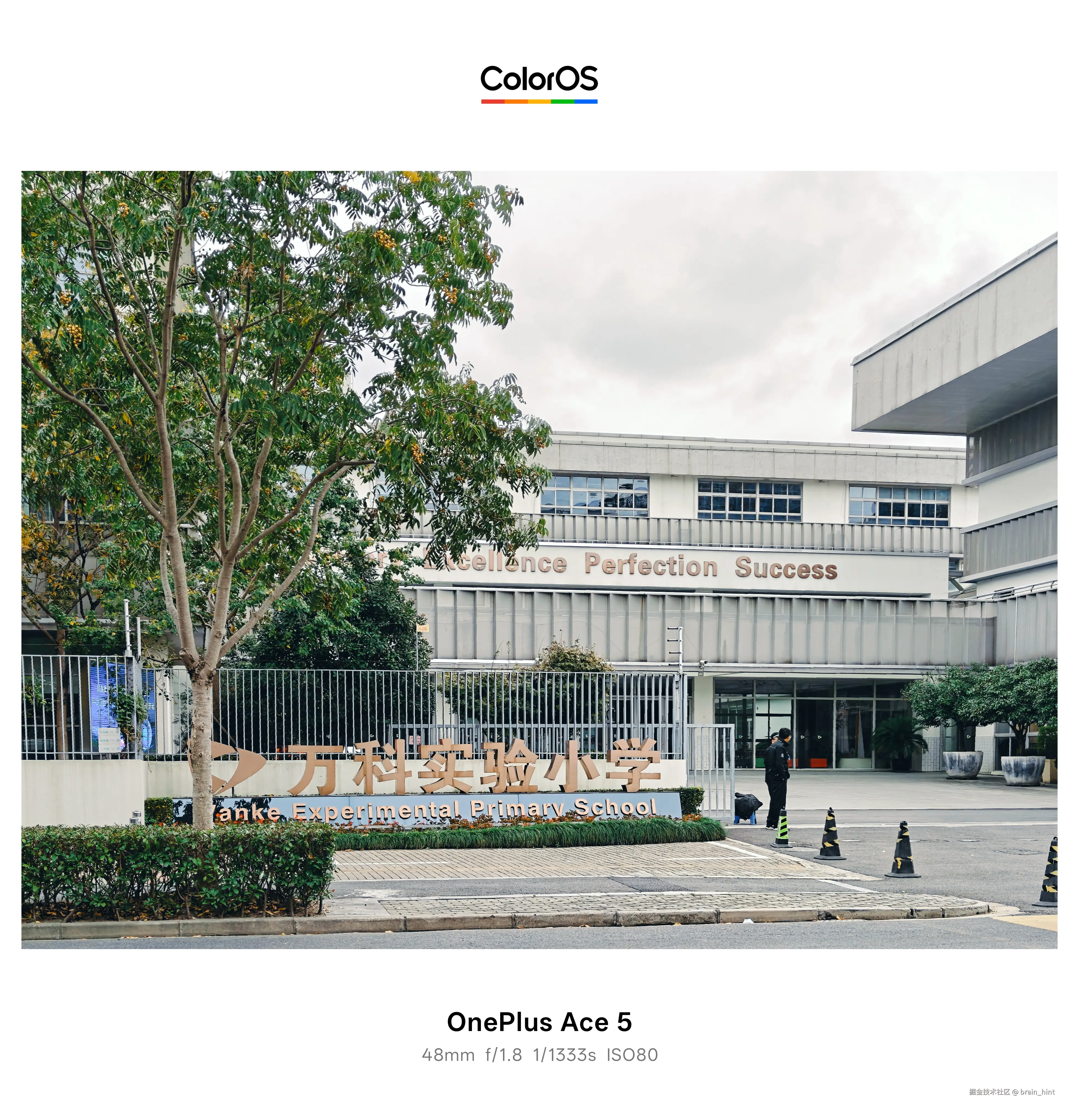 brain_hint于2025-11-12 13:53发布的图片