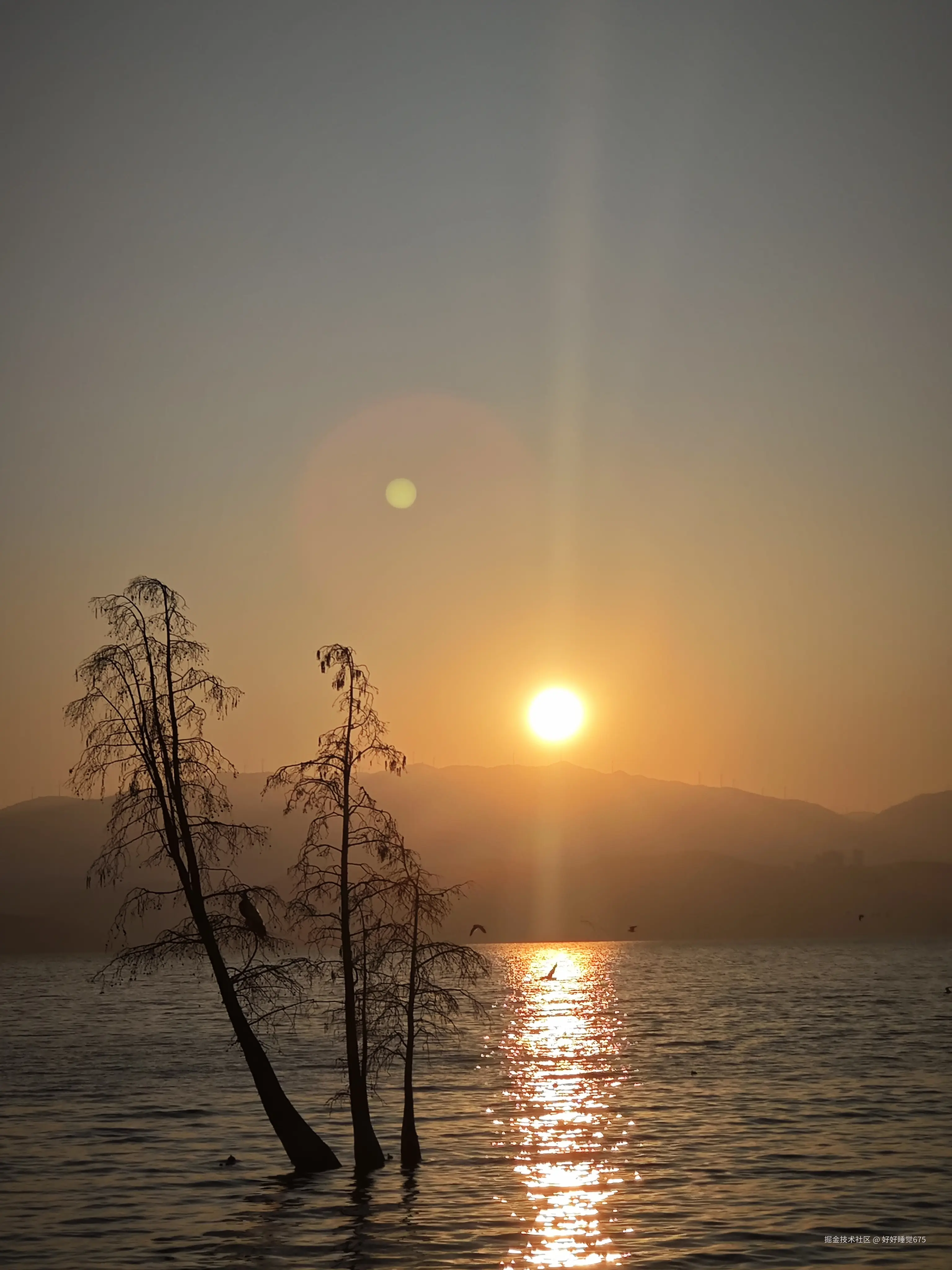 好好睡觉675于2026-02-25 11:10发布的图片