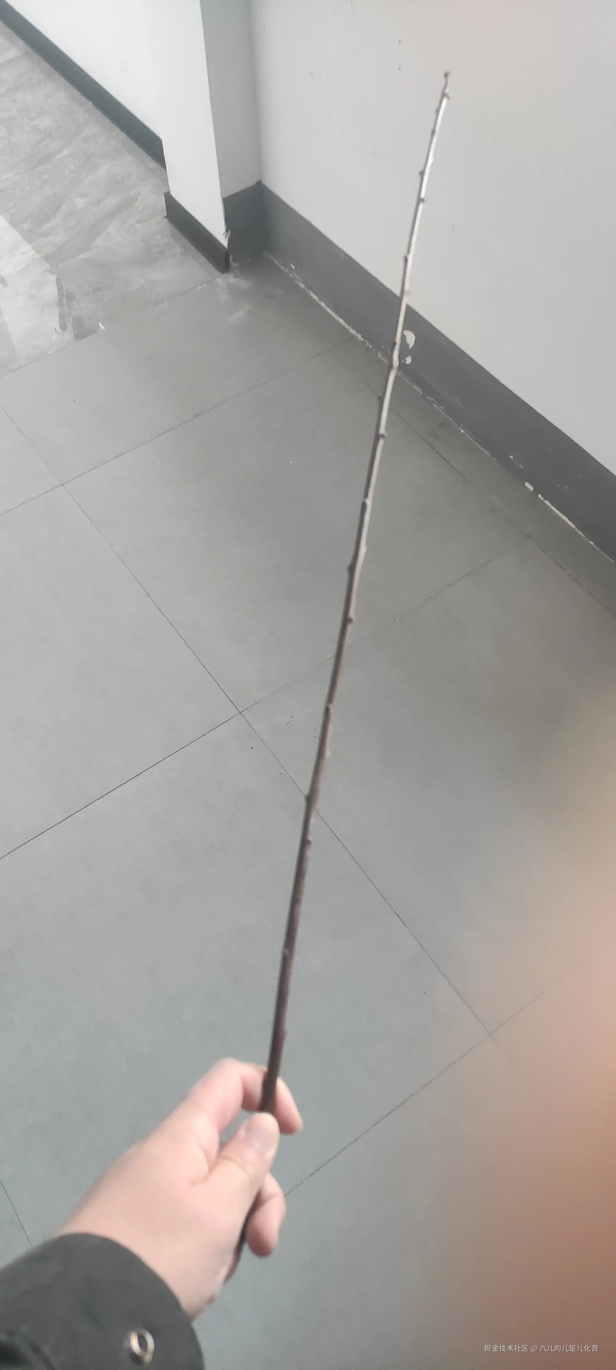 六儿的儿是儿化音于2024-12-26 08:46发布的图片