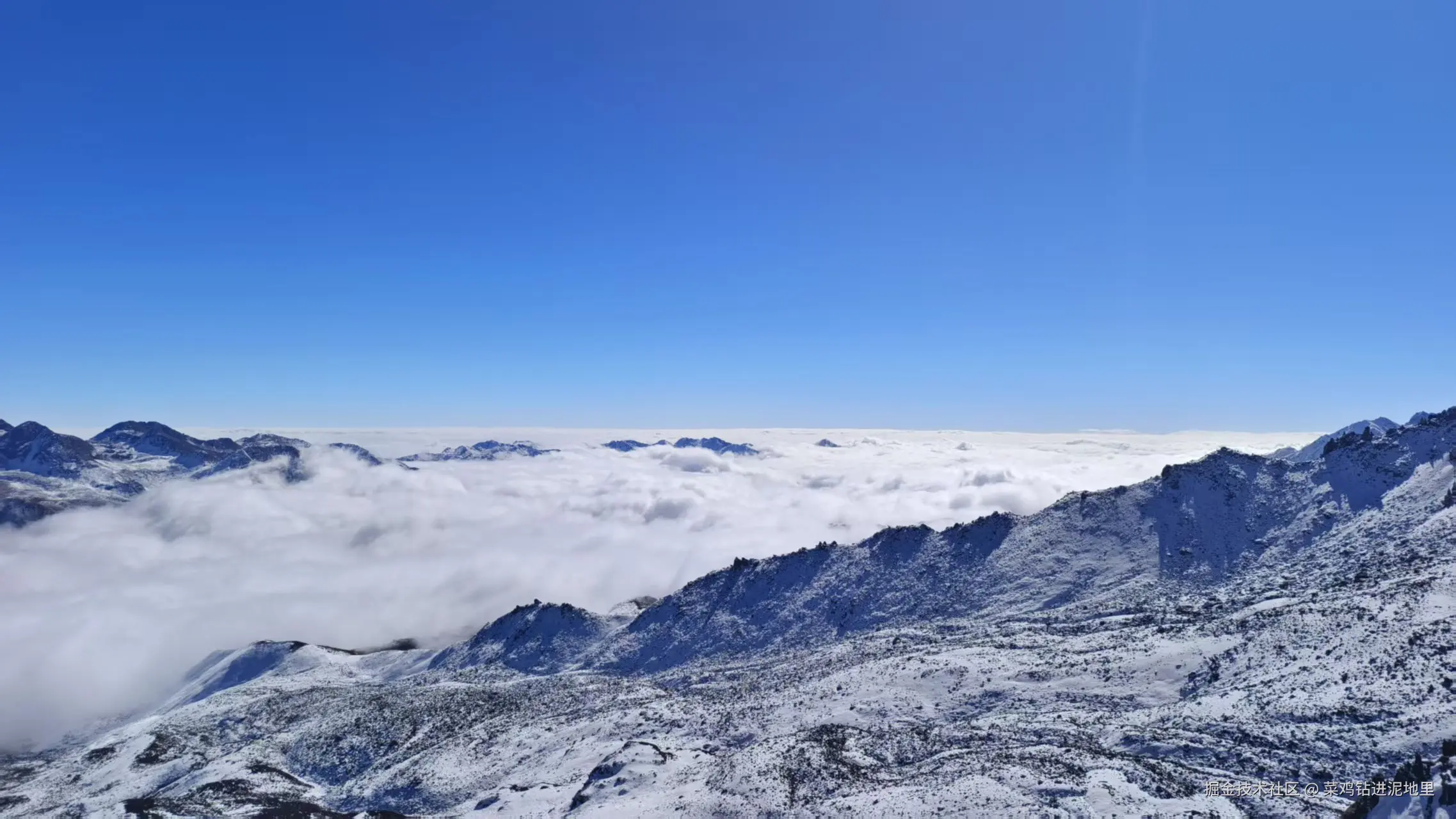 菜鸡钻进泥地里于2025-11-17 09:24发布的图片