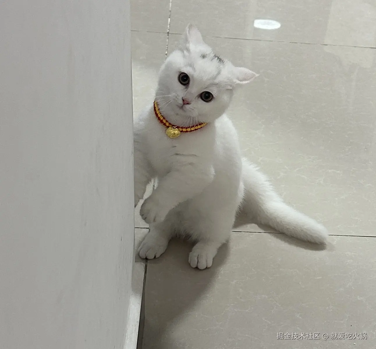 就爱吃火锅于2025-04-15 09:51发布的图片