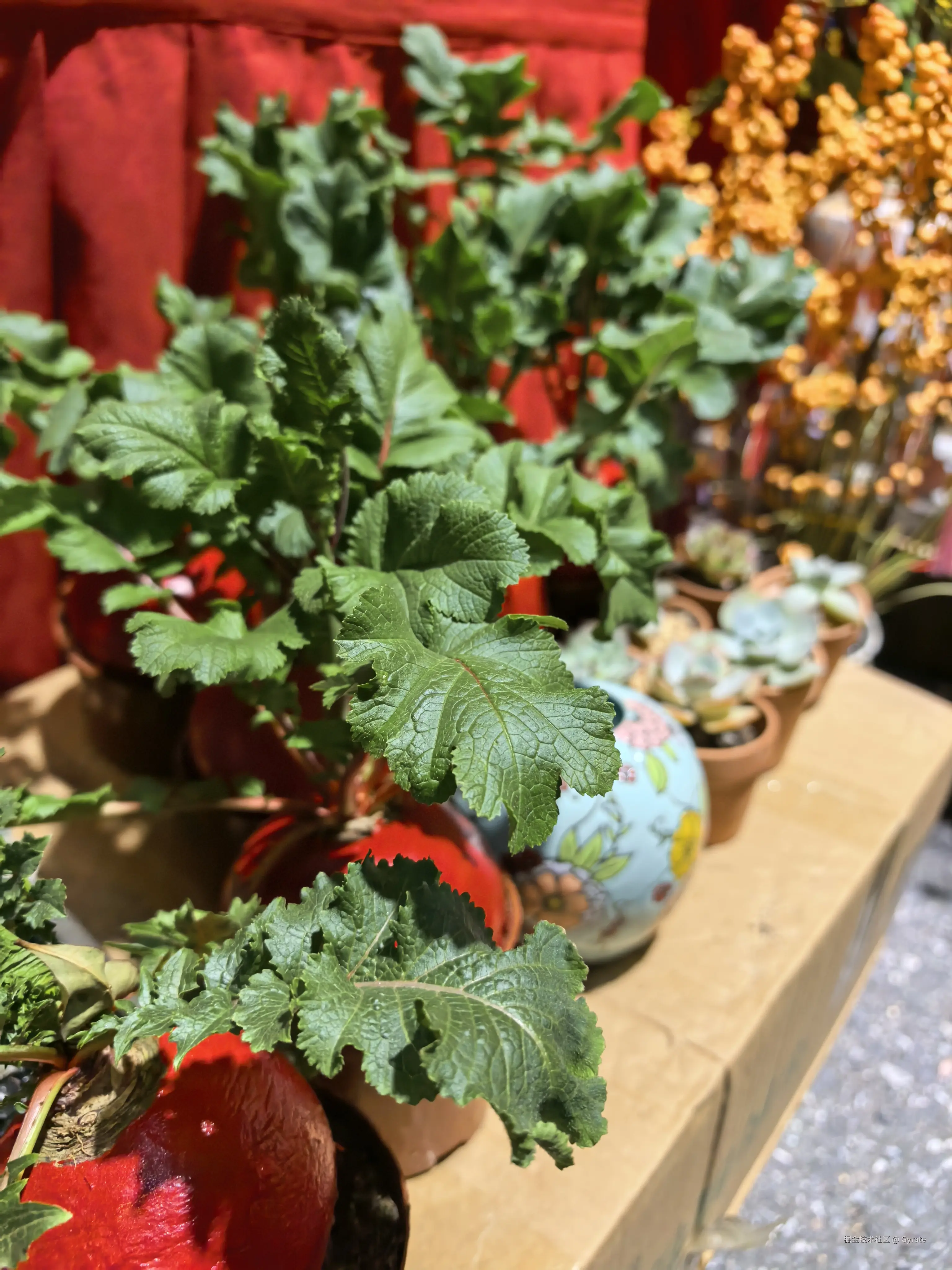 Gyrate于2026-02-13 09:58发布的图片