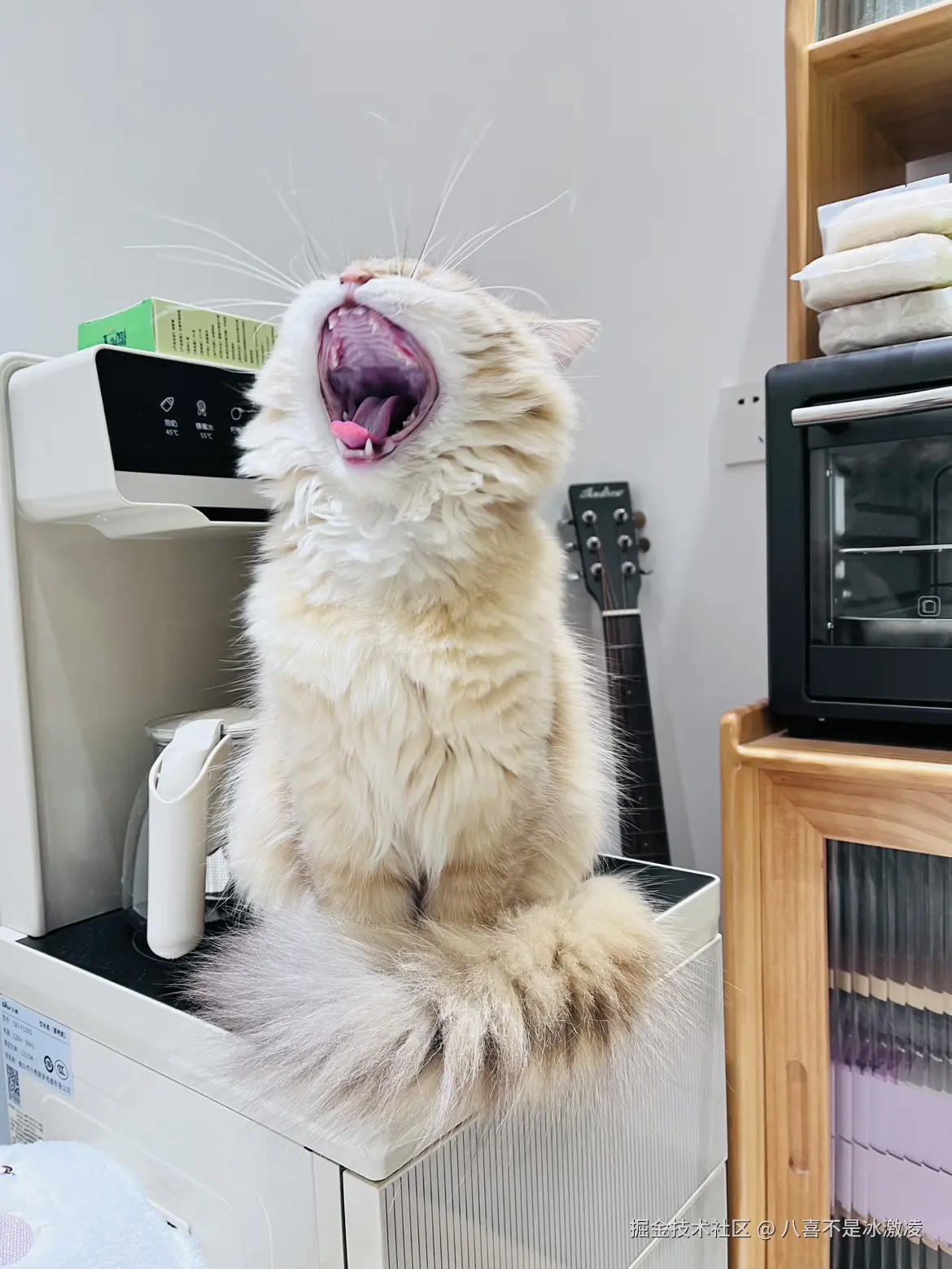 八喜不是冰激凌于2024-12-16 09:05发布的图片