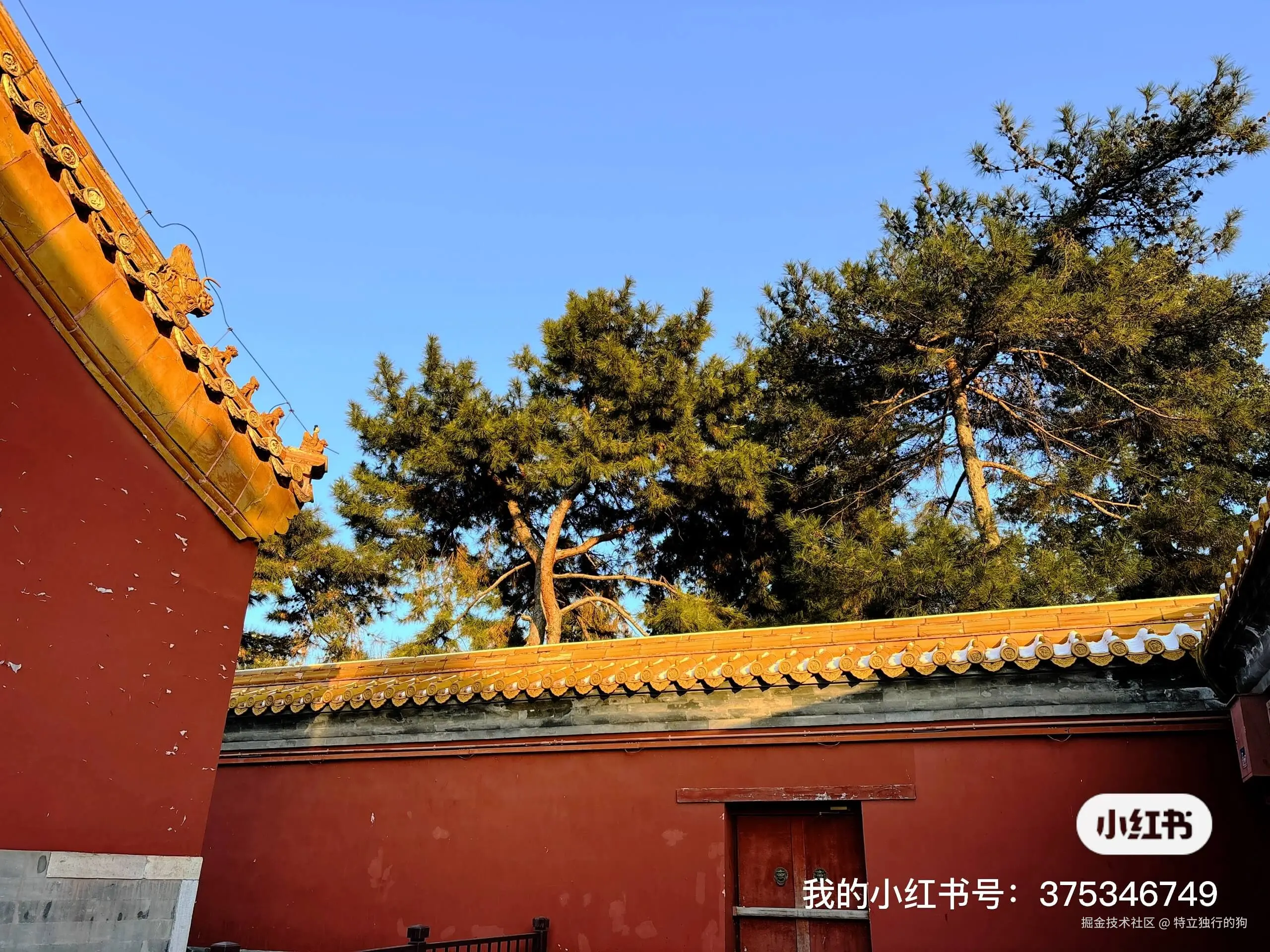 特立独行的狗于2025-12-18 13:44发布的图片