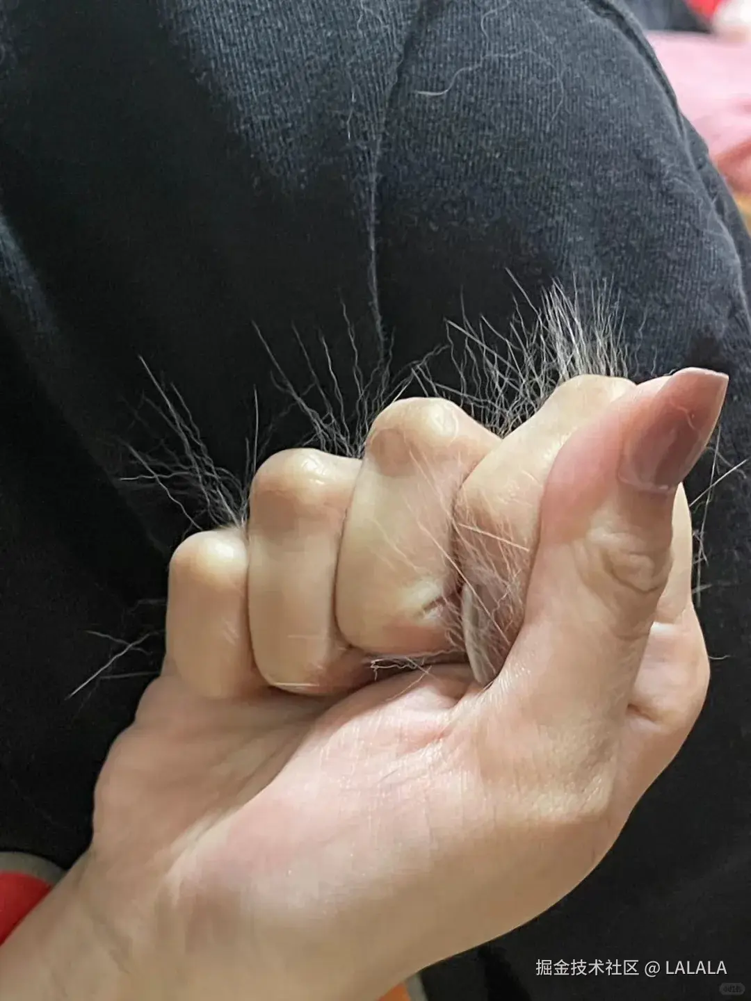 LALALA于2026-04-16 15:13发布的图片