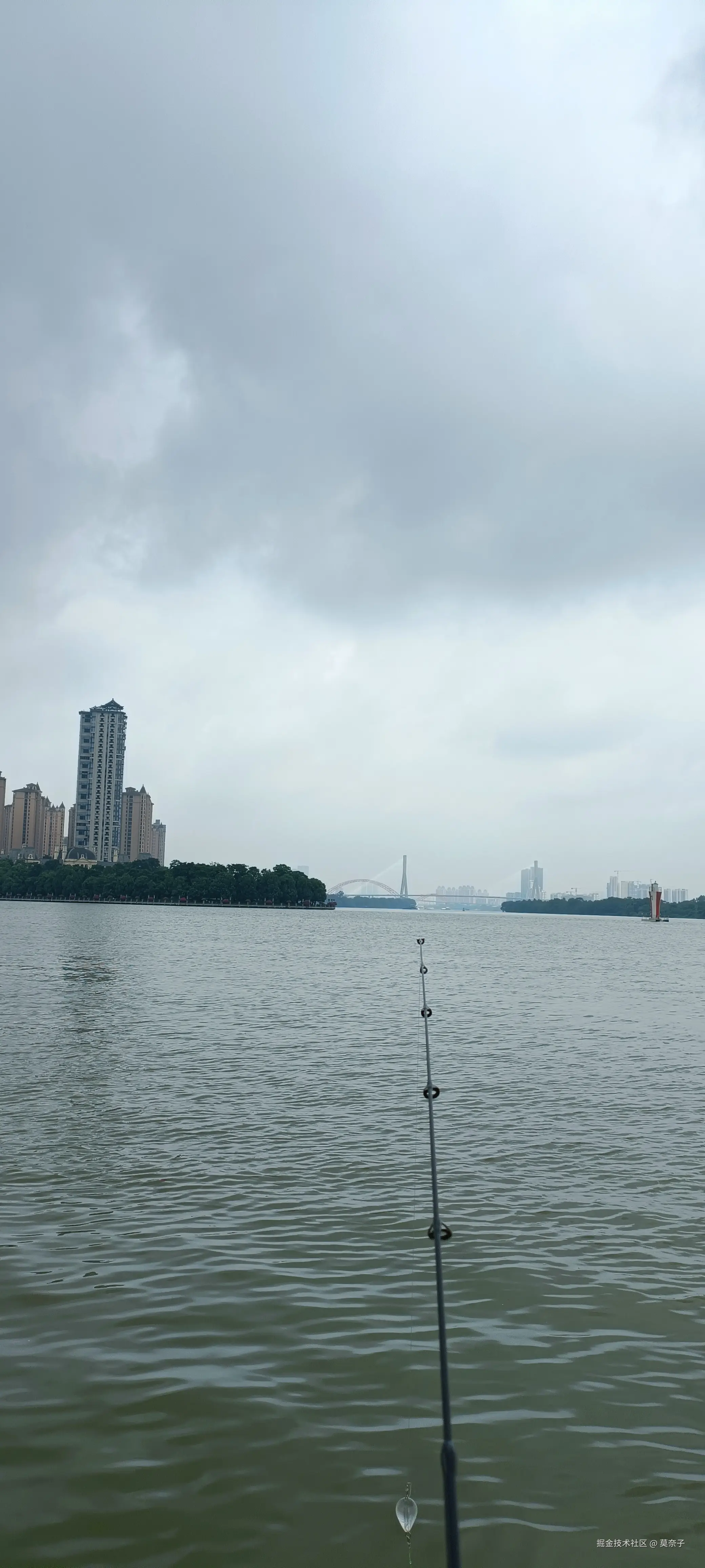 莫奈子于2024-08-18 17:09发布的图片