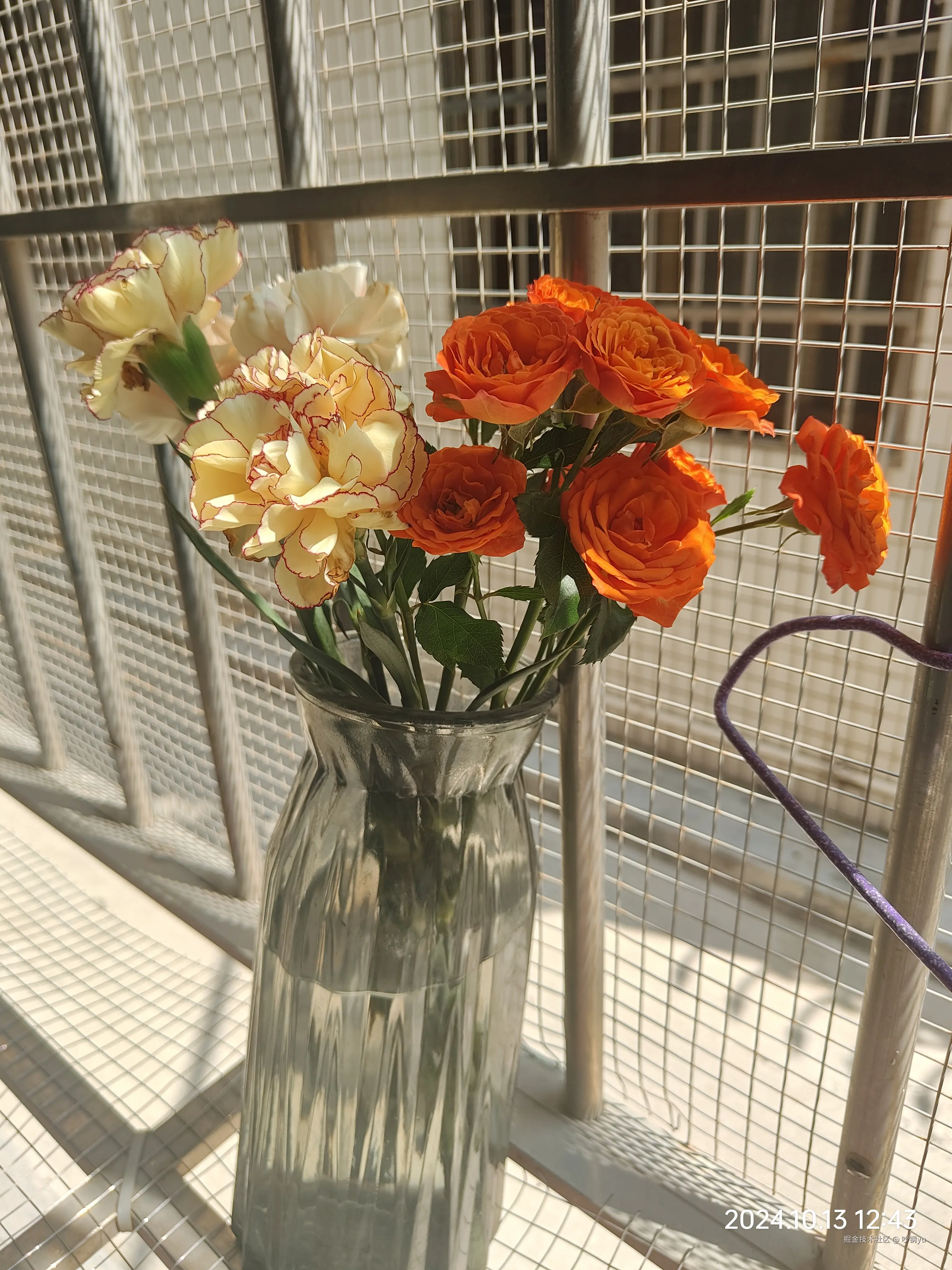 吵钢yu于2024-10-16 12:33发布的图片