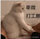 小小喵_摸鱼大队于2026-02-14 09:47发布的图片