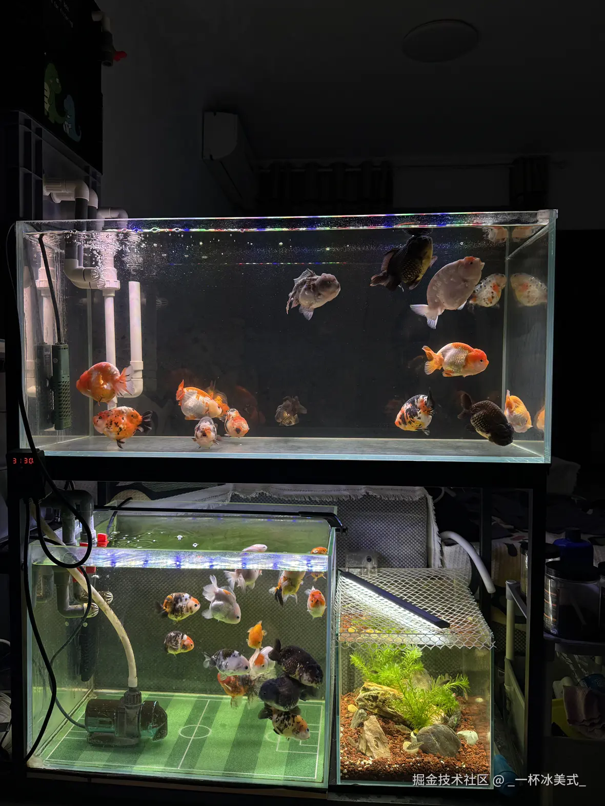 _一杯冰美式_于2024-12-03 10:40发布的图片