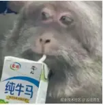 云往而生于2025-05-29 15:55发布的图片