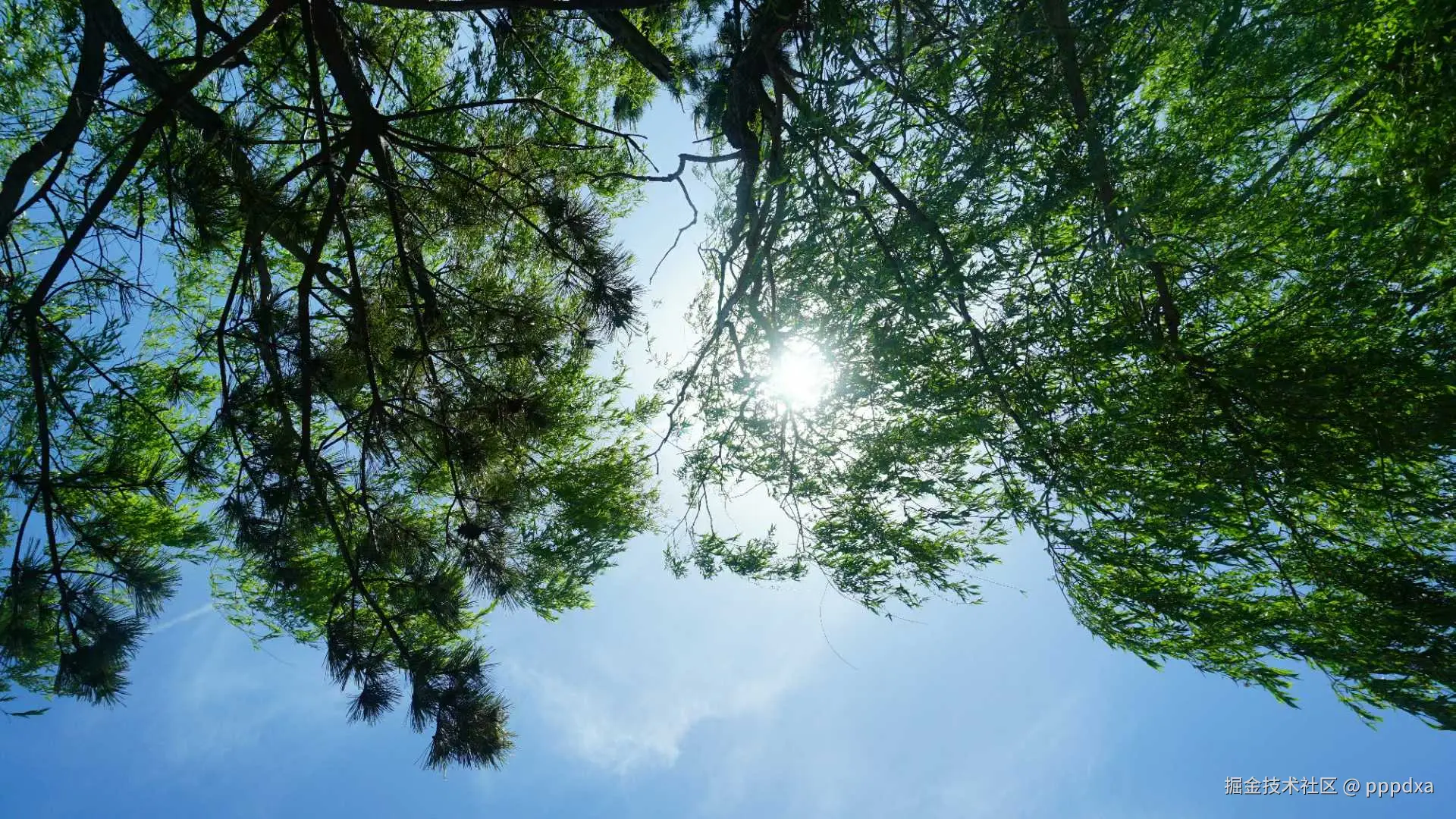 pppdxa于2025-05-20 10:32发布的图片