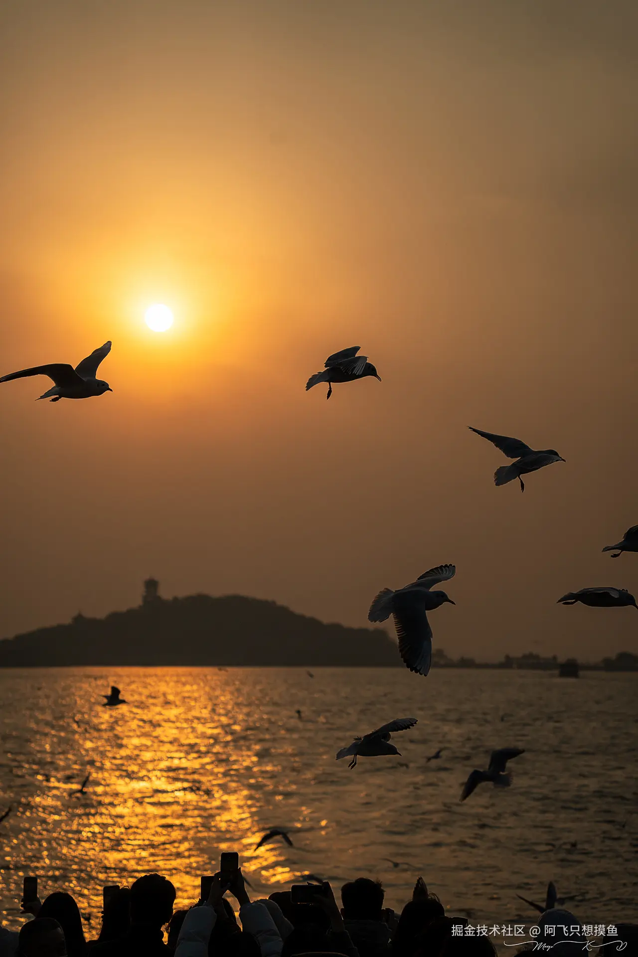 阿飞只想摸鱼于2024-12-19 14:47发布的图片