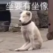 情迷曼哈顿丶于2025-04-27 10:04发布的图片