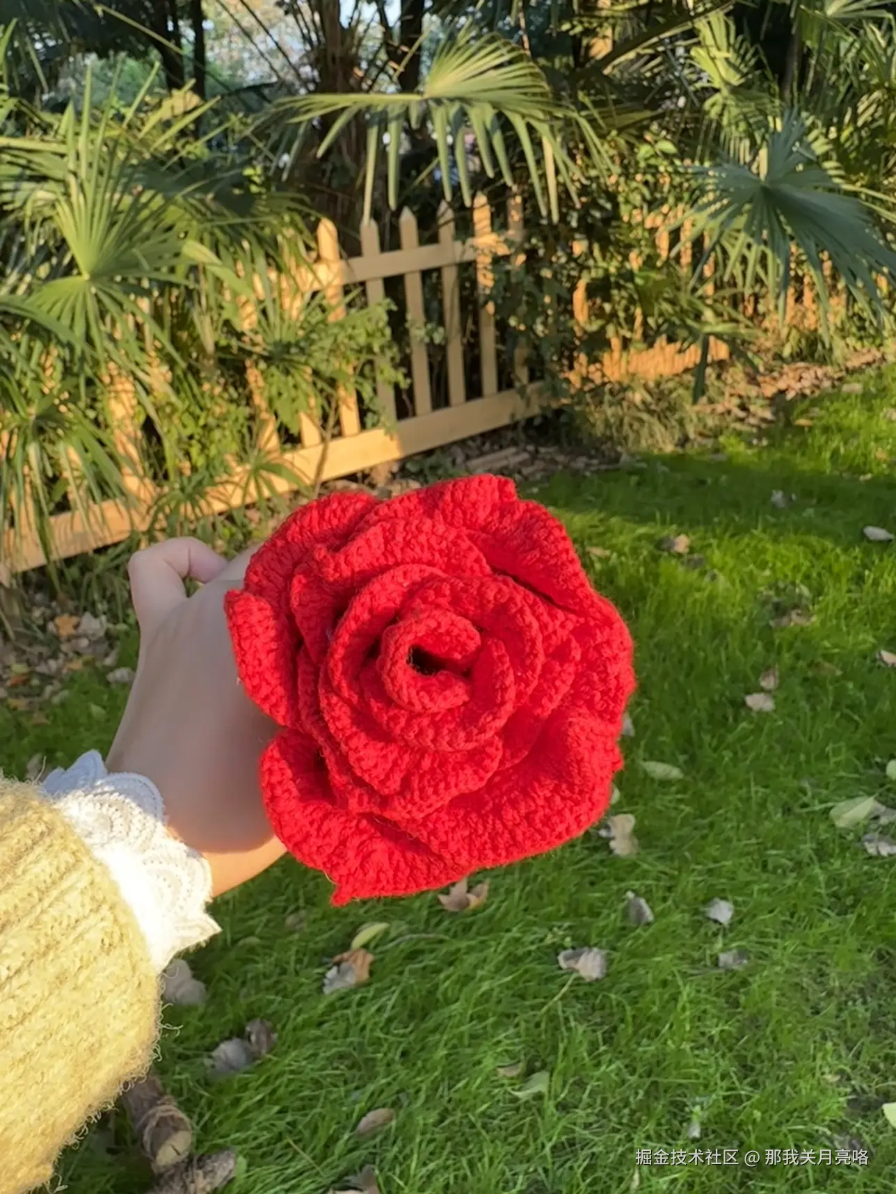 那我关月亮咯于2024-11-07 11:26发布的图片