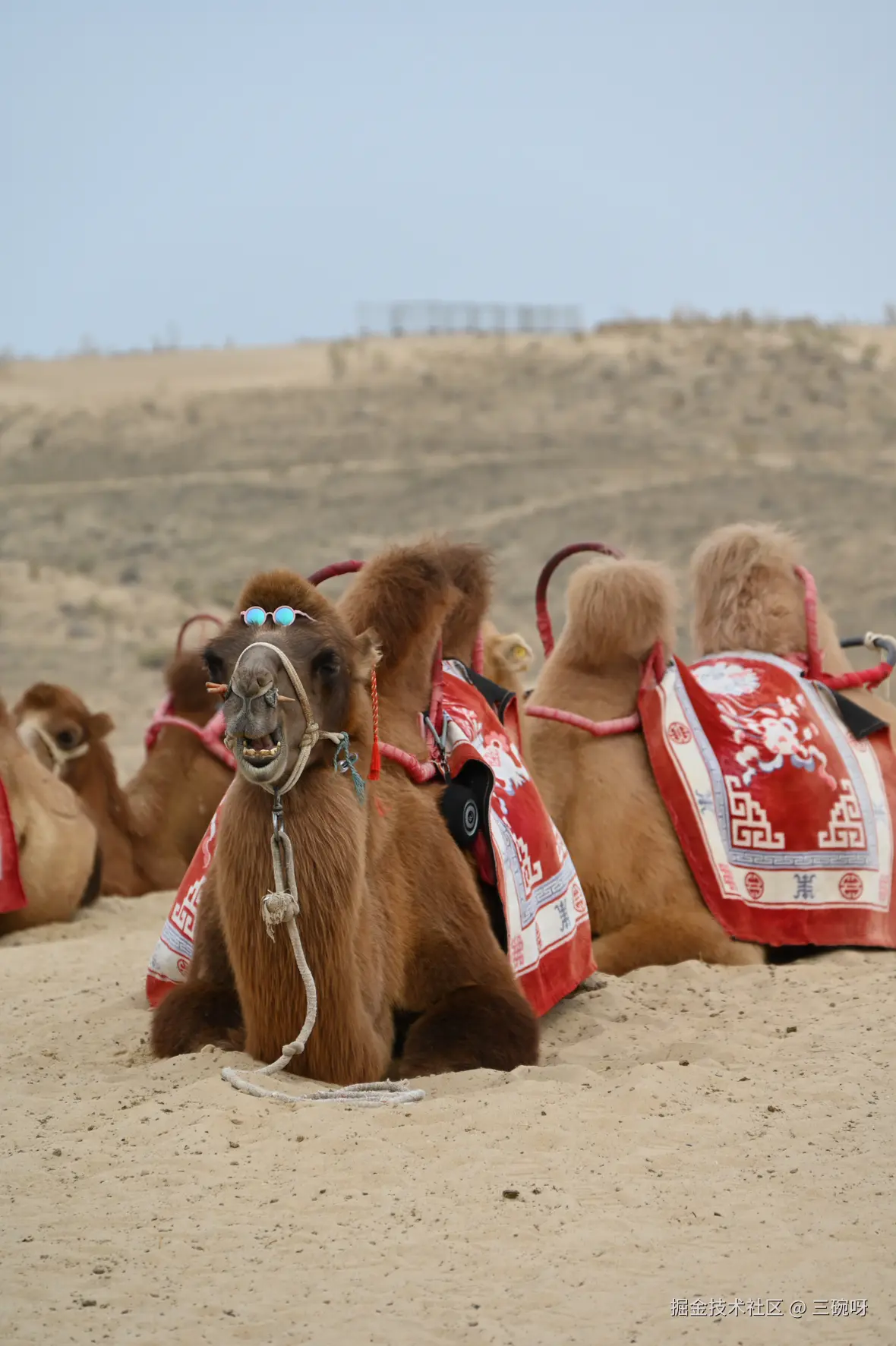 三碗呀于2025-10-15 08:19发布的图片