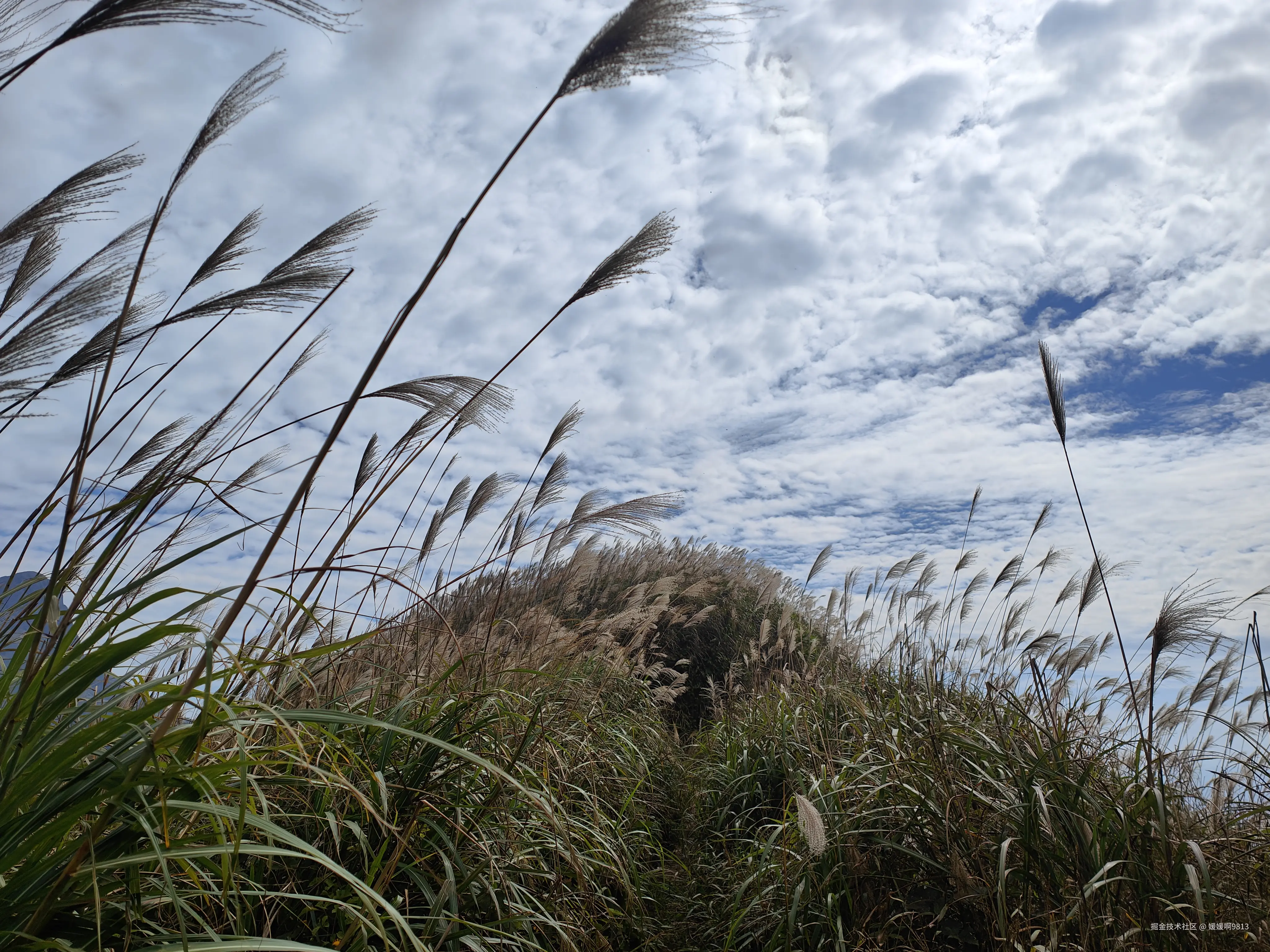 媛媛啊9813于2025-11-18 07:15发布的图片
