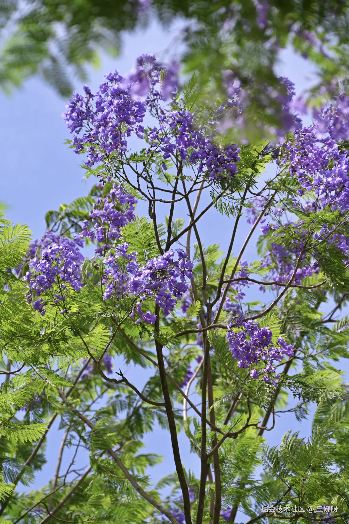 三碗呀于2025-05-26 02:33发布的图片