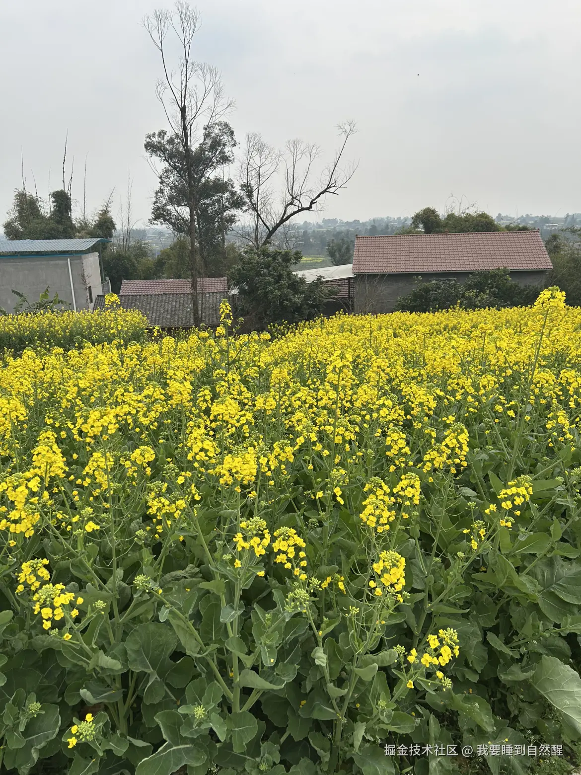 我要睡到自然醒于2026-02-18 22:54发布的图片