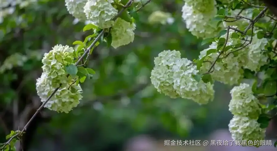 性能优化系列之线程优化