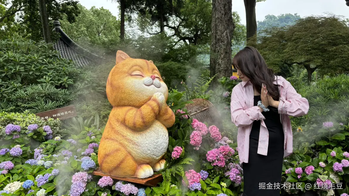 红烧毛豆于2025-05-25 16:10发布的图片