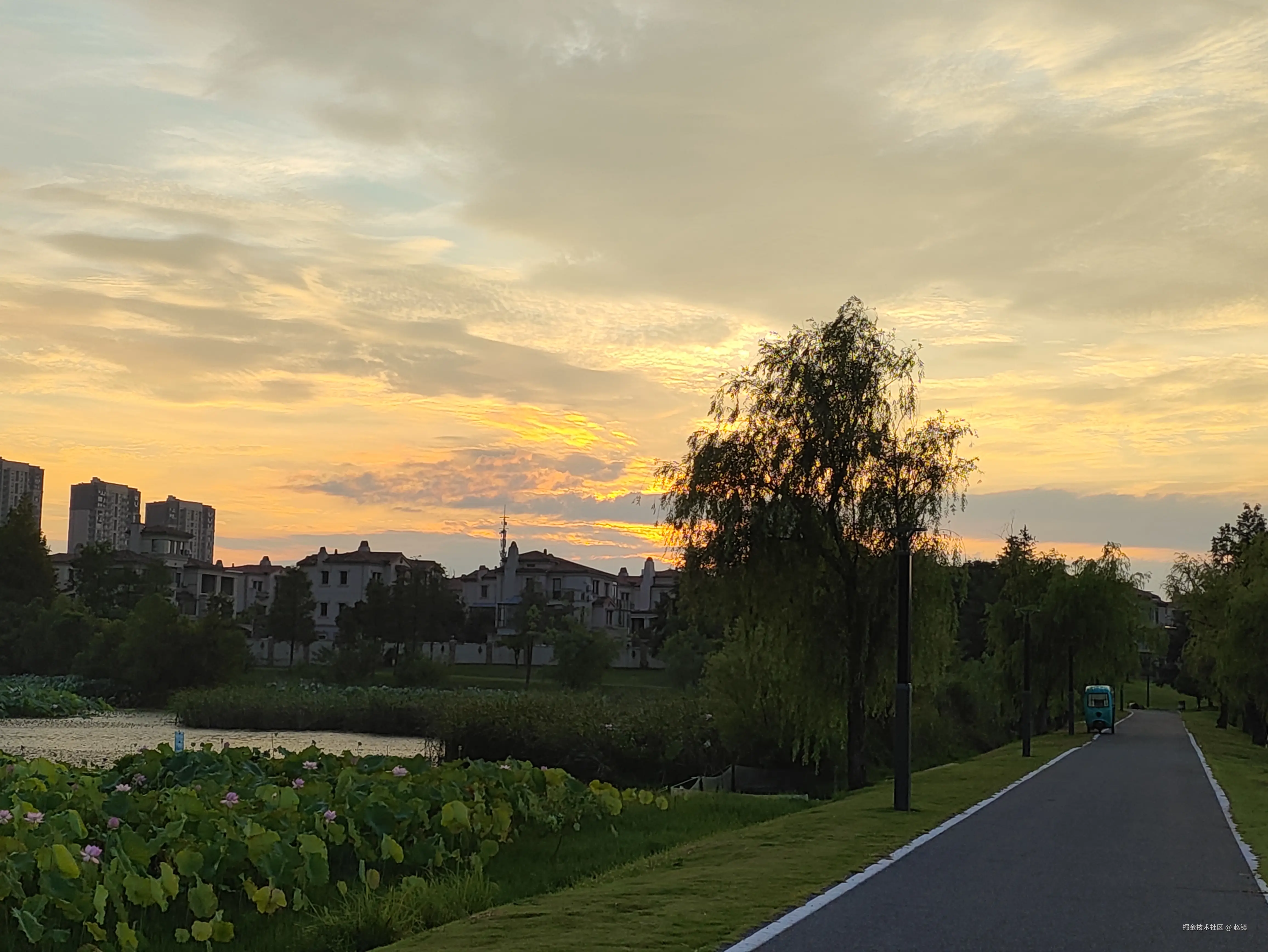 赵镇于2024-08-01 09:49发布的图片