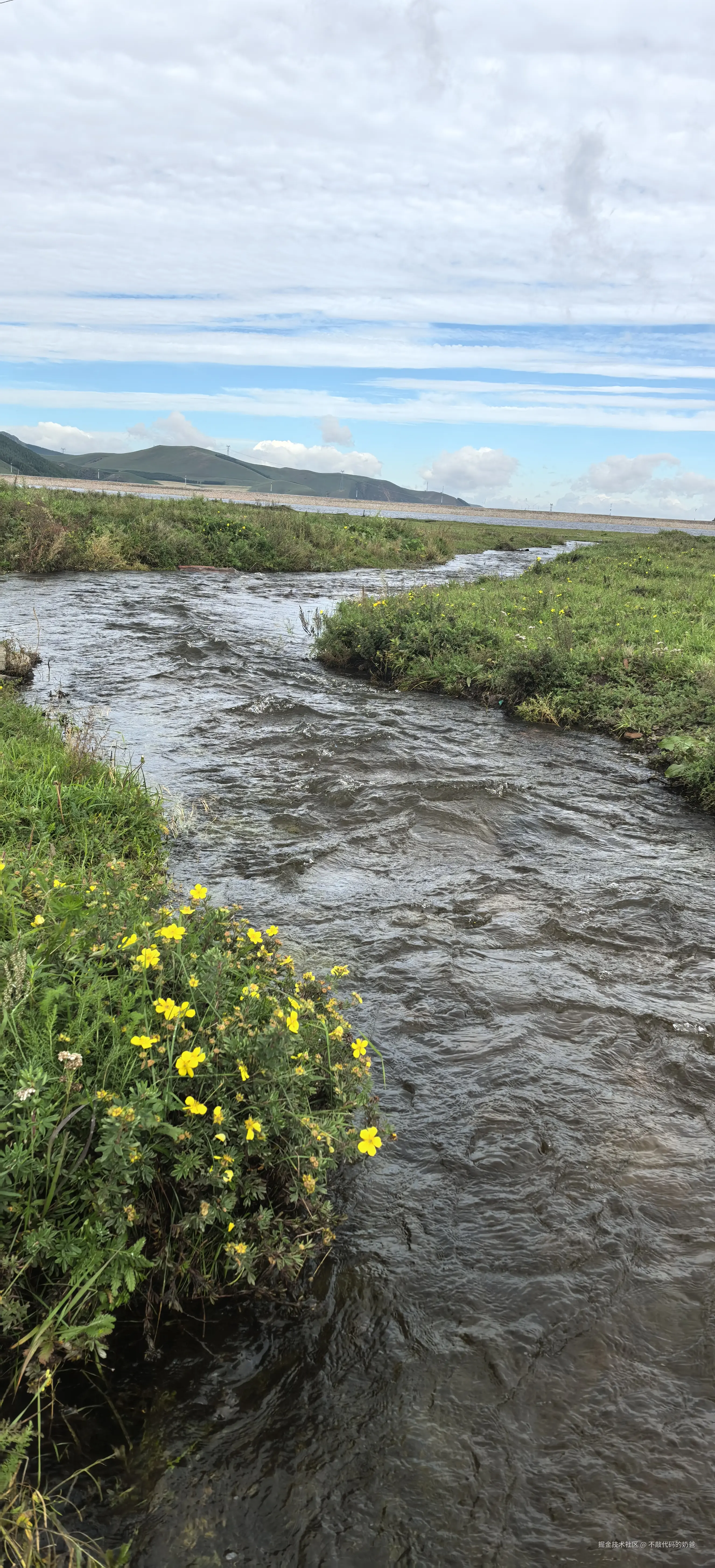 不敲代码的奶爸于2024-09-02 07:36发布的图片