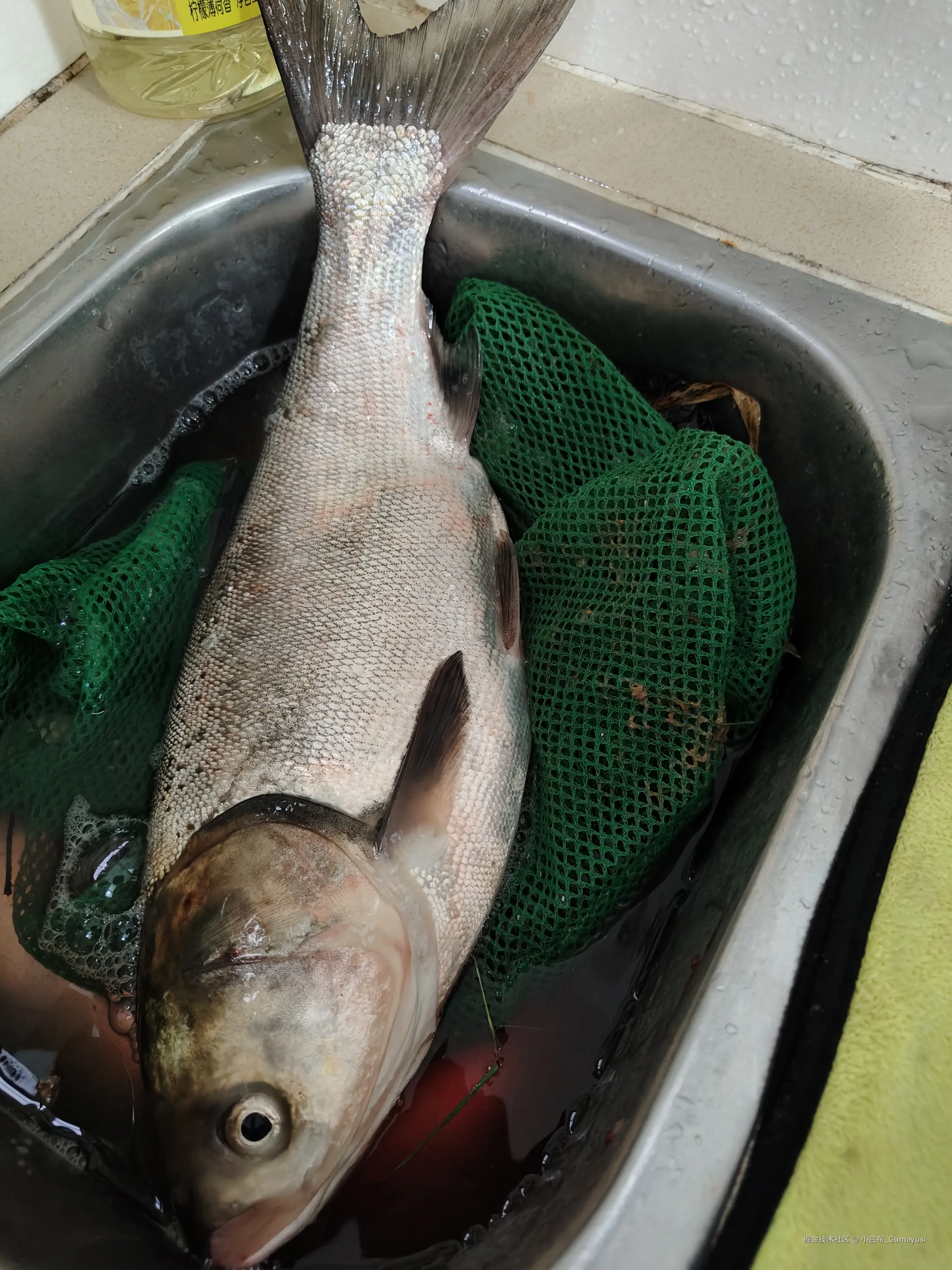 小吕布_Gumayusi于2025-02-24 09:53发布的图片