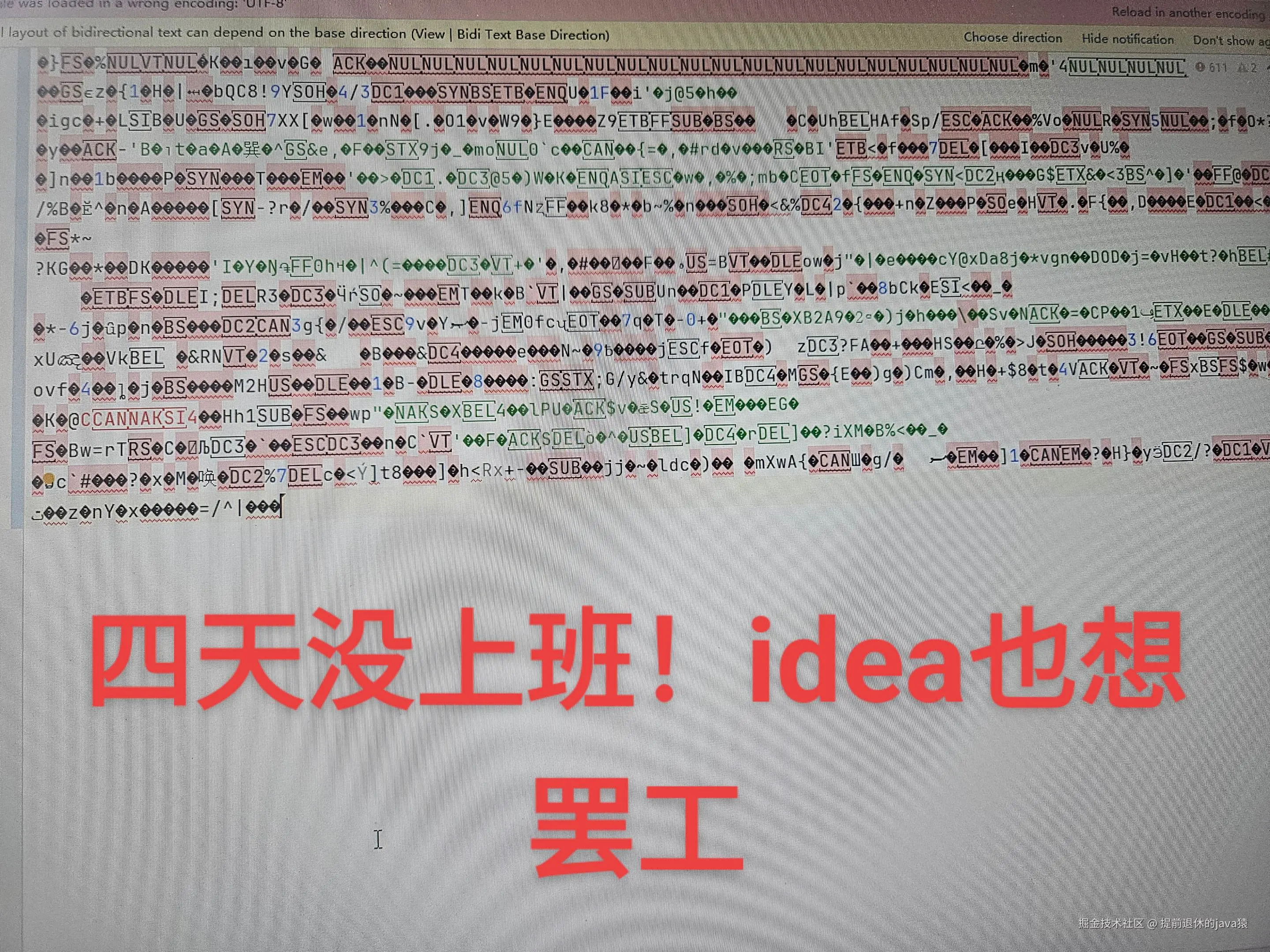 提前退休的java猿于2025-08-04 08:59发布的图片