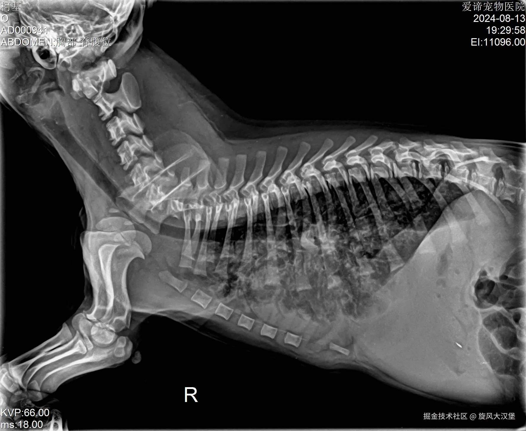 旋风大汉堡于2024-08-14 07:47发布的图片