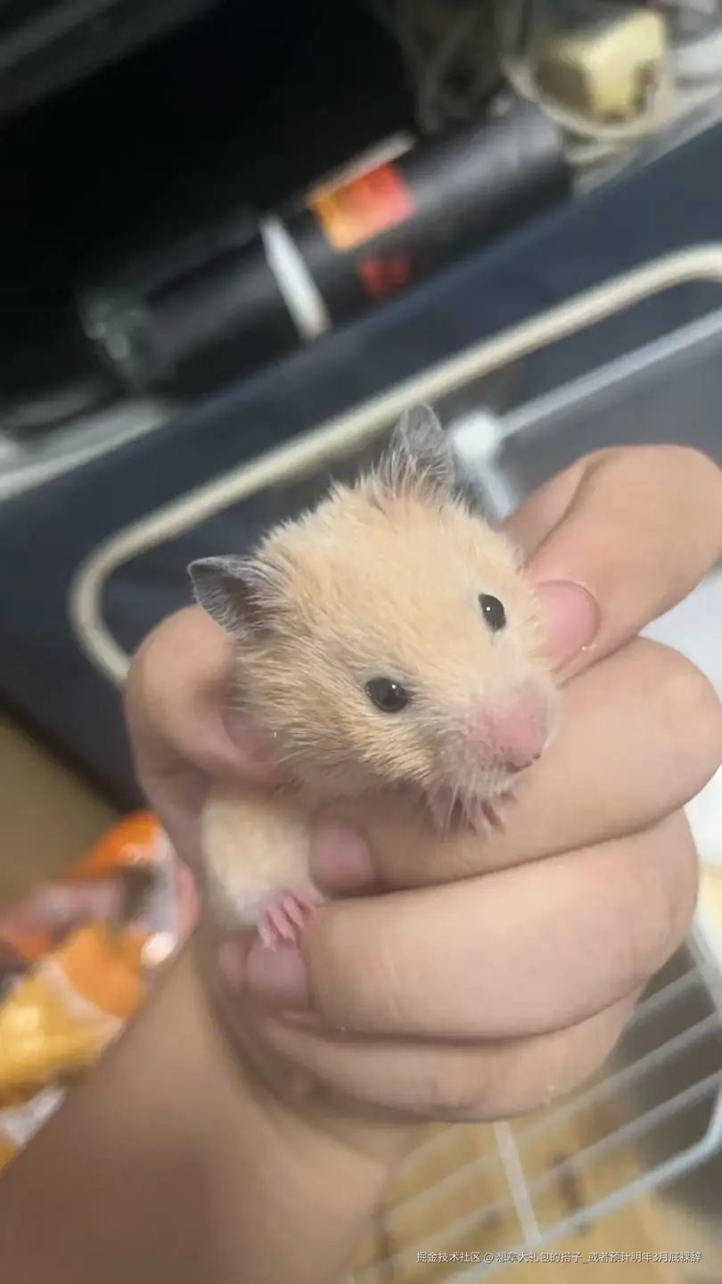 想拿大礼包的搭子_或者预计明年3月底裸辞于2025-09-02 09:13发布的图片