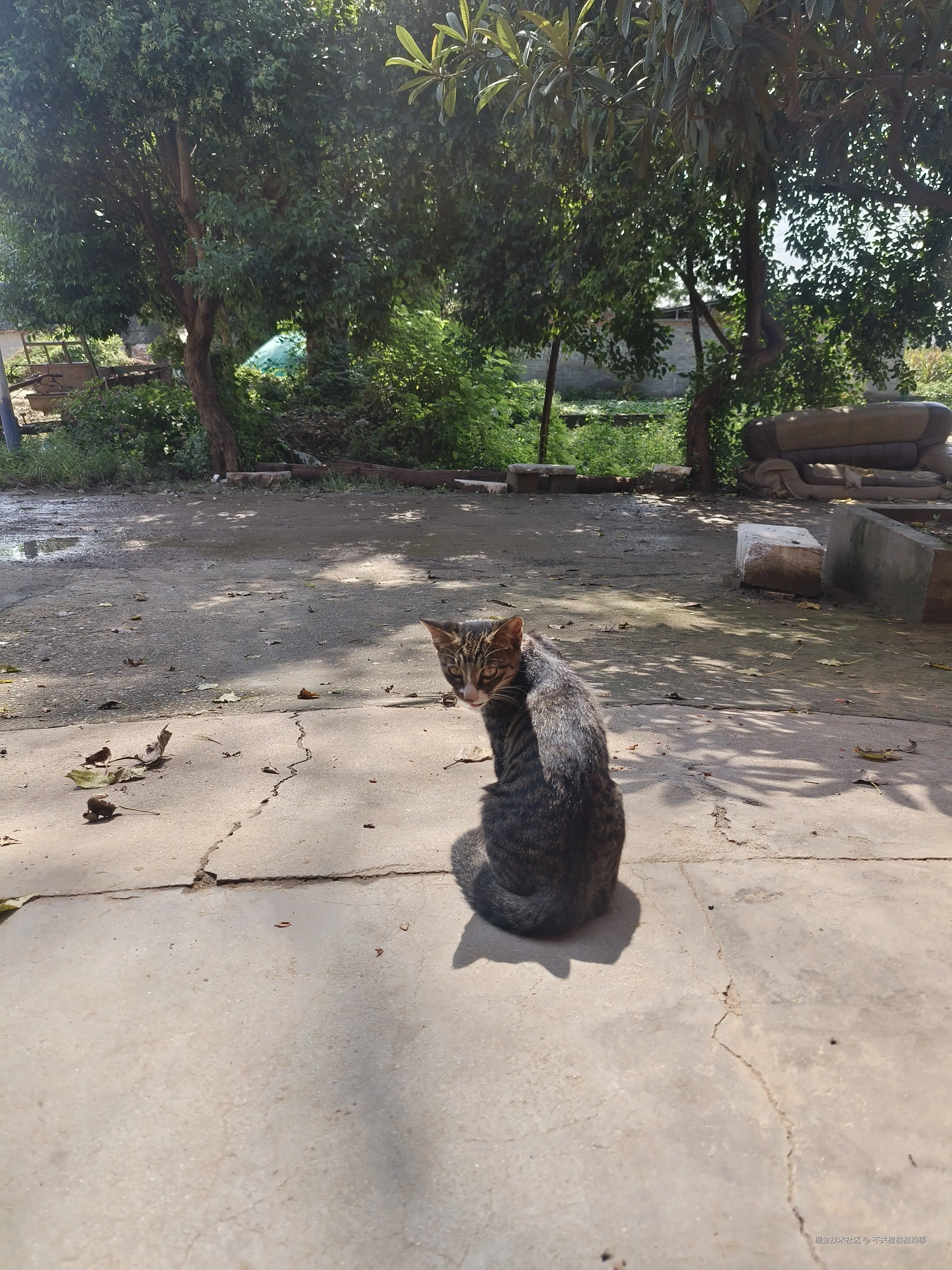 不关橙猫猫的事于2025-10-10 09:51发布的图片