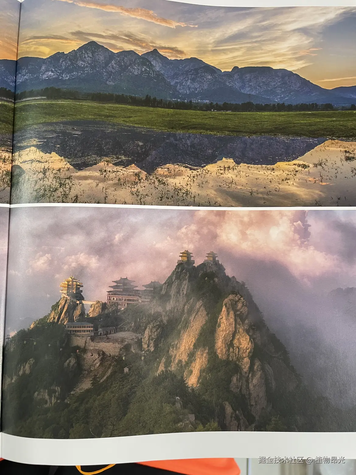 植物昂光于2026-04-11 11:48发布的图片