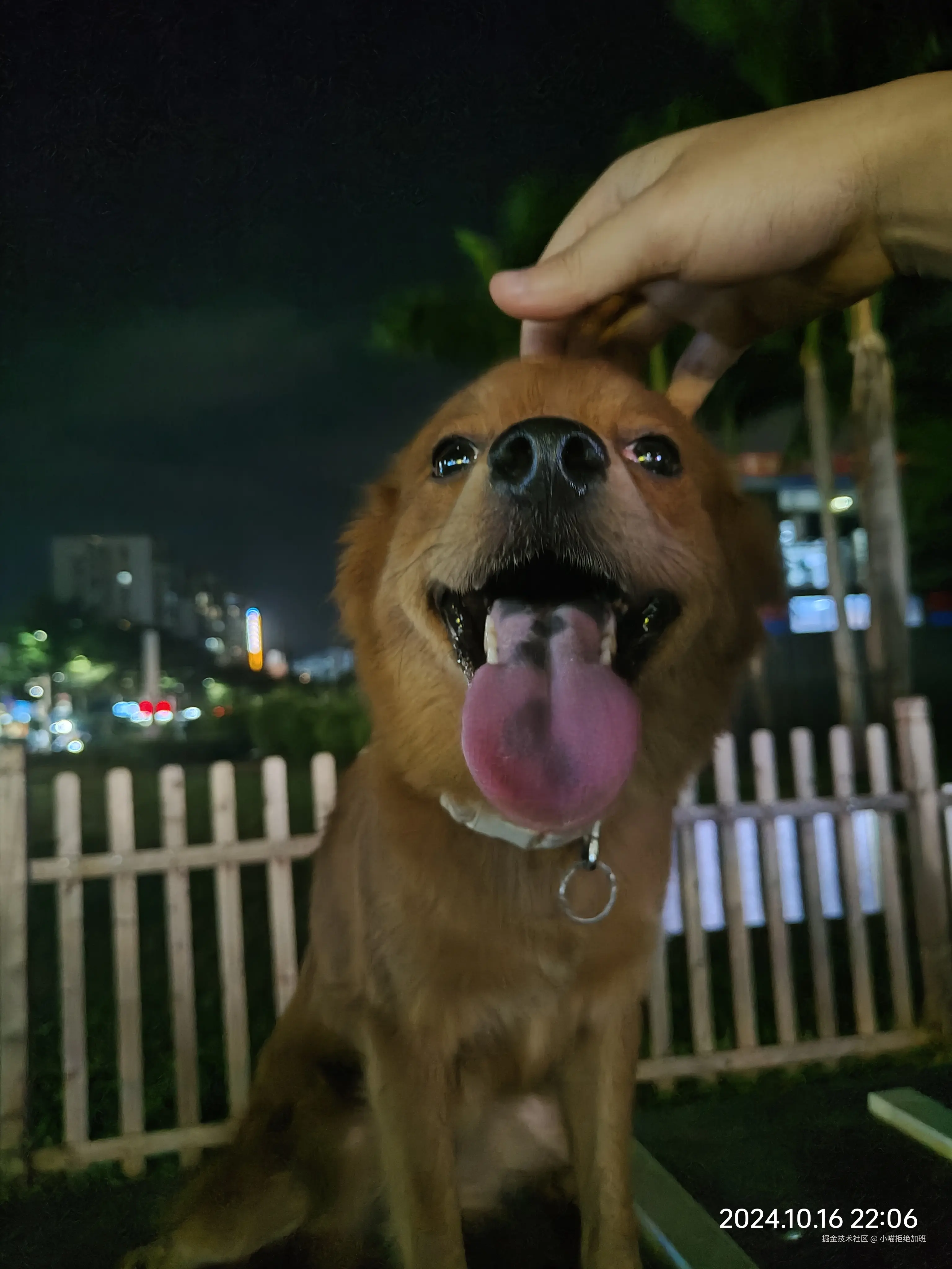 小喵拒绝加班于2024-10-16 22:22发布的图片