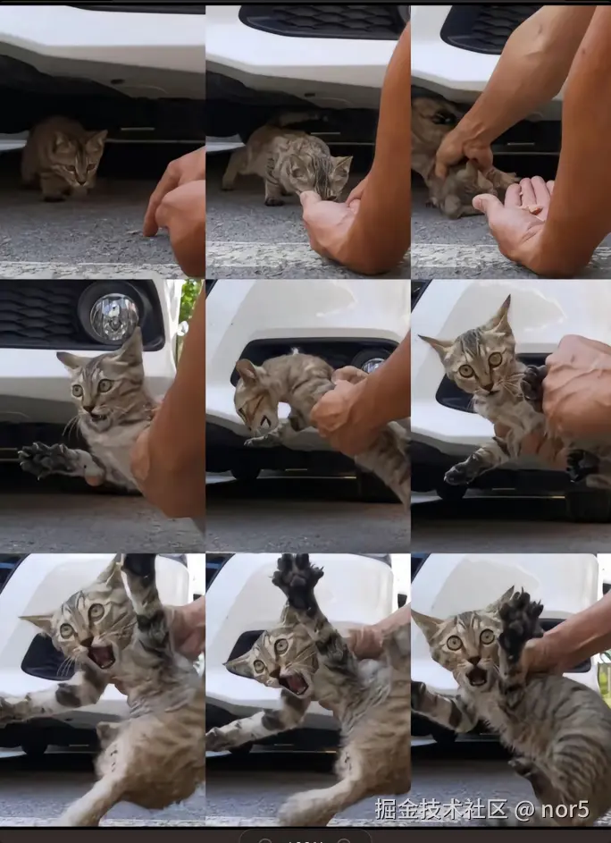 nor5于2024-07-29 17:57发布的图片