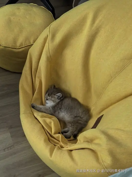 金闪闪的黄皮耗子于2025-09-17 17:25发布的图片