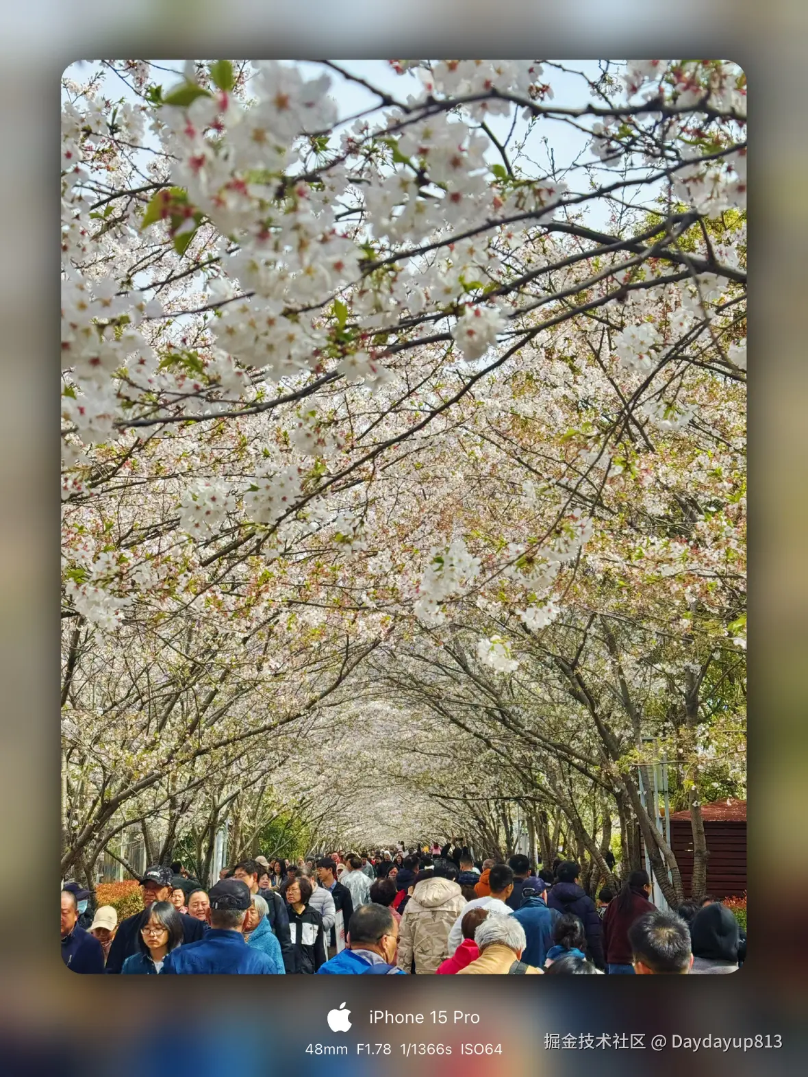 Daydayup813于2025-03-31 11:41发布的图片