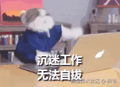 狼爷于2024-11-11 16:23发布的图片