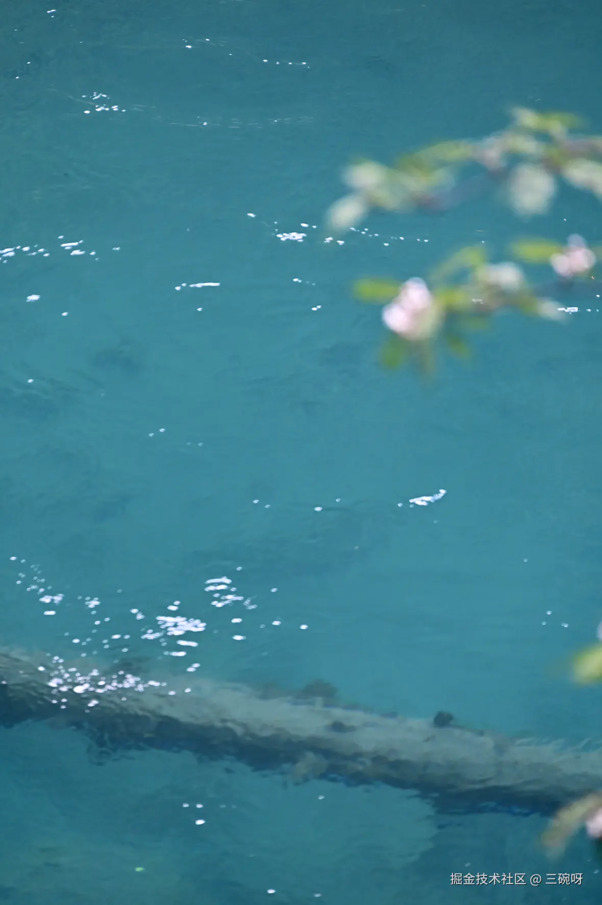 三碗呀于2025-11-19 16:23发布的图片