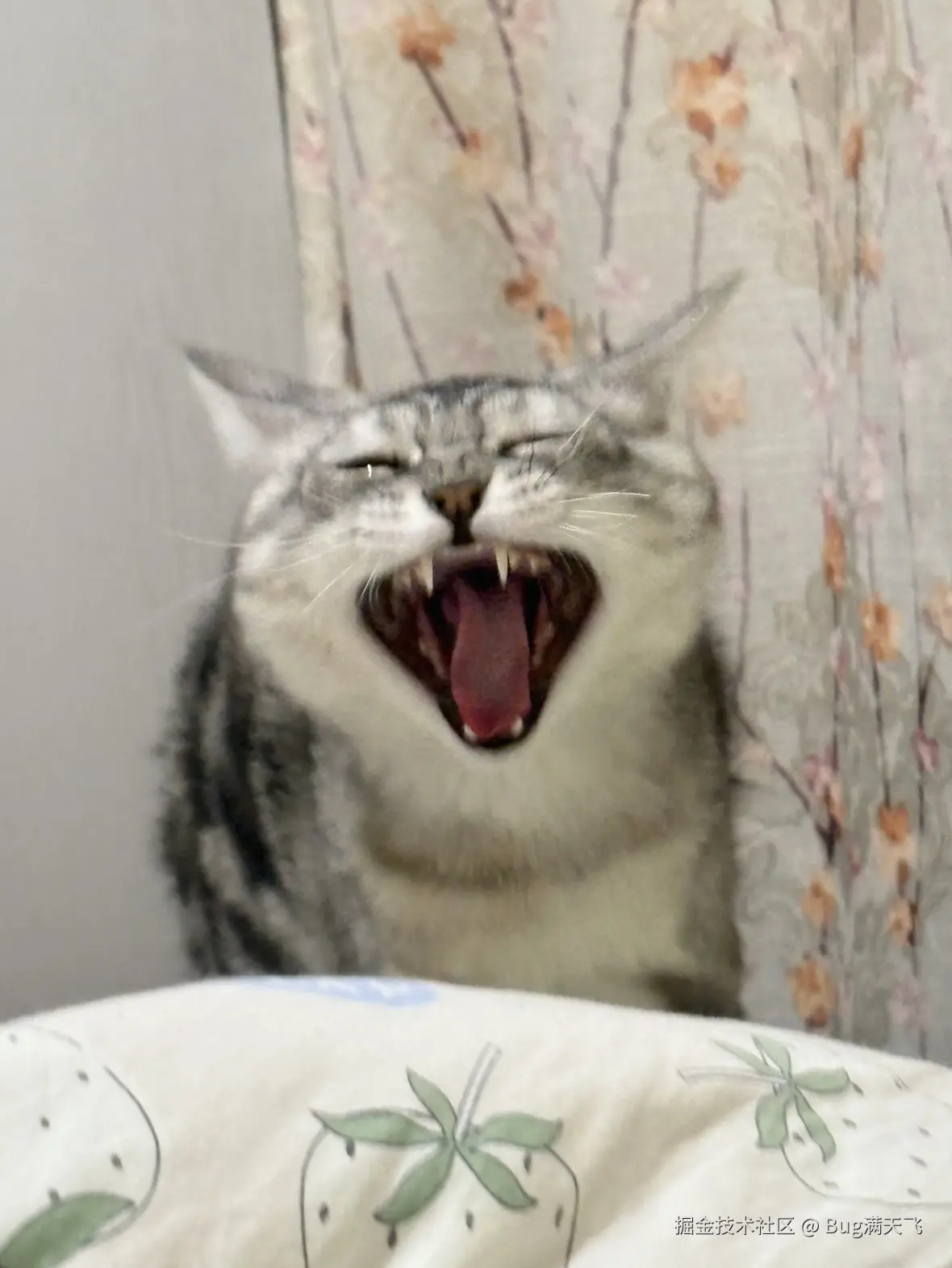 Bug满天飞于2025-04-16 14:35发布的图片