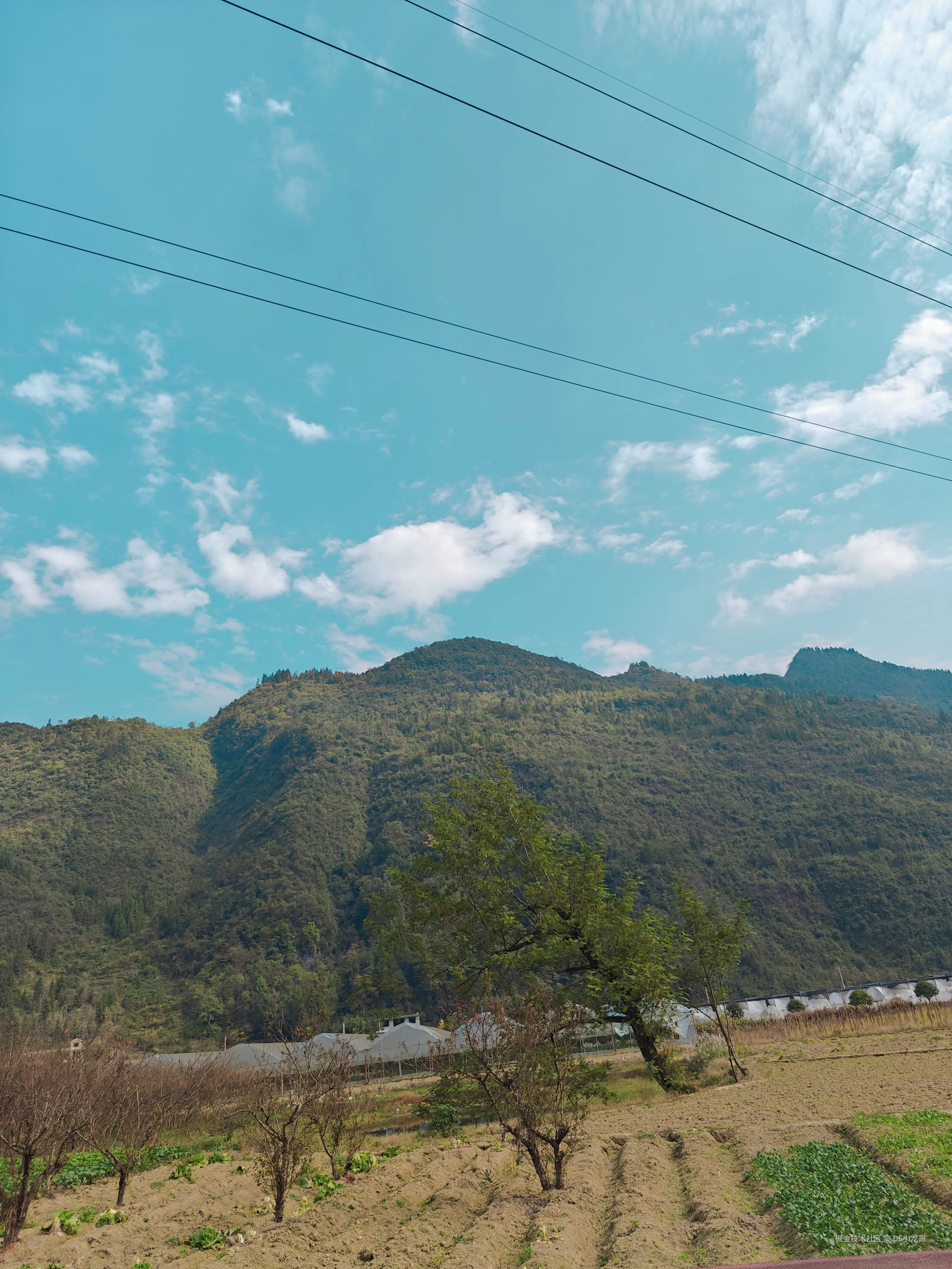 DS小龙哥于2024-11-03 21:39发布的图片