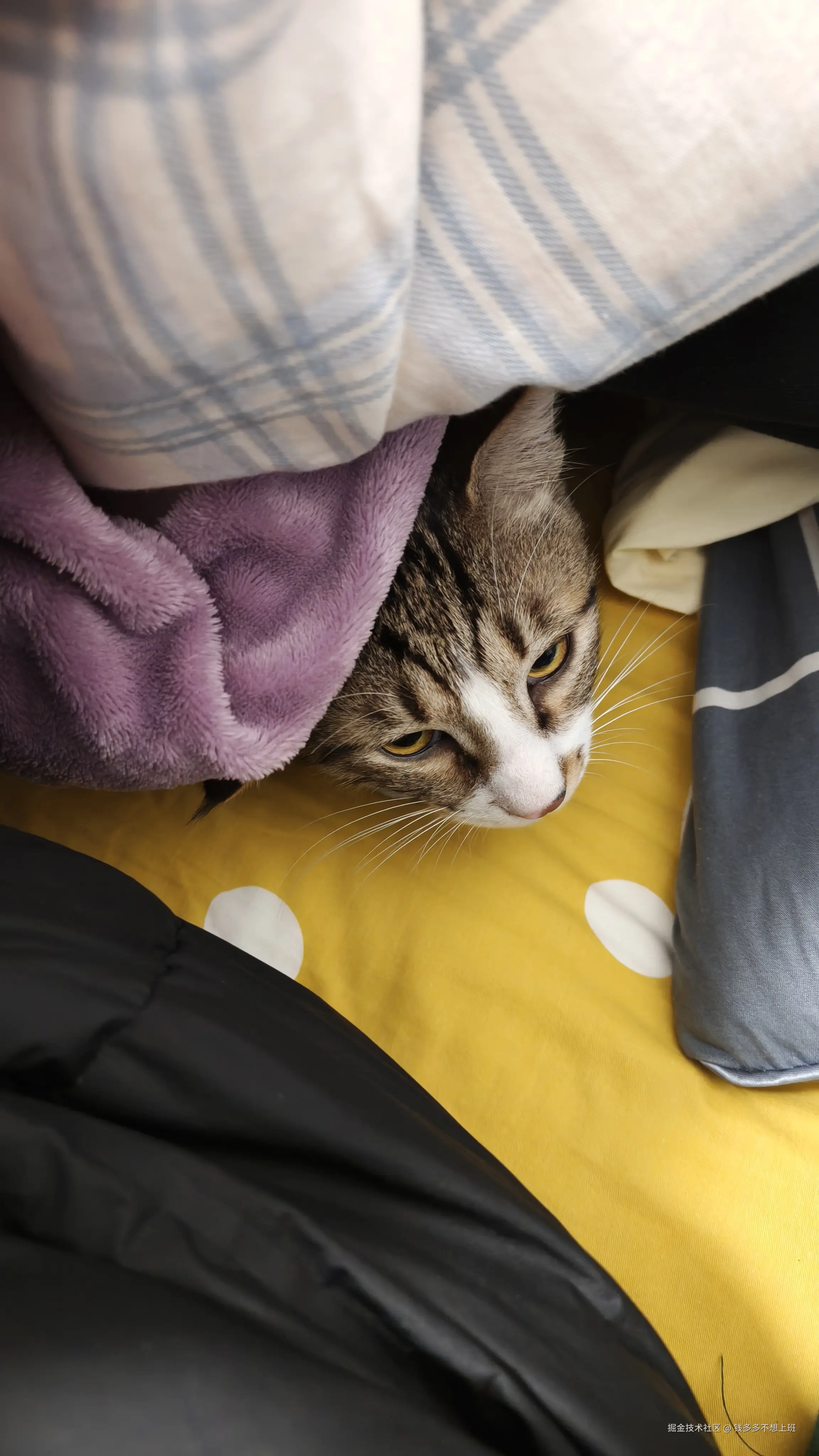 钱多多不想上班于2026-01-26 09:13发布的图片