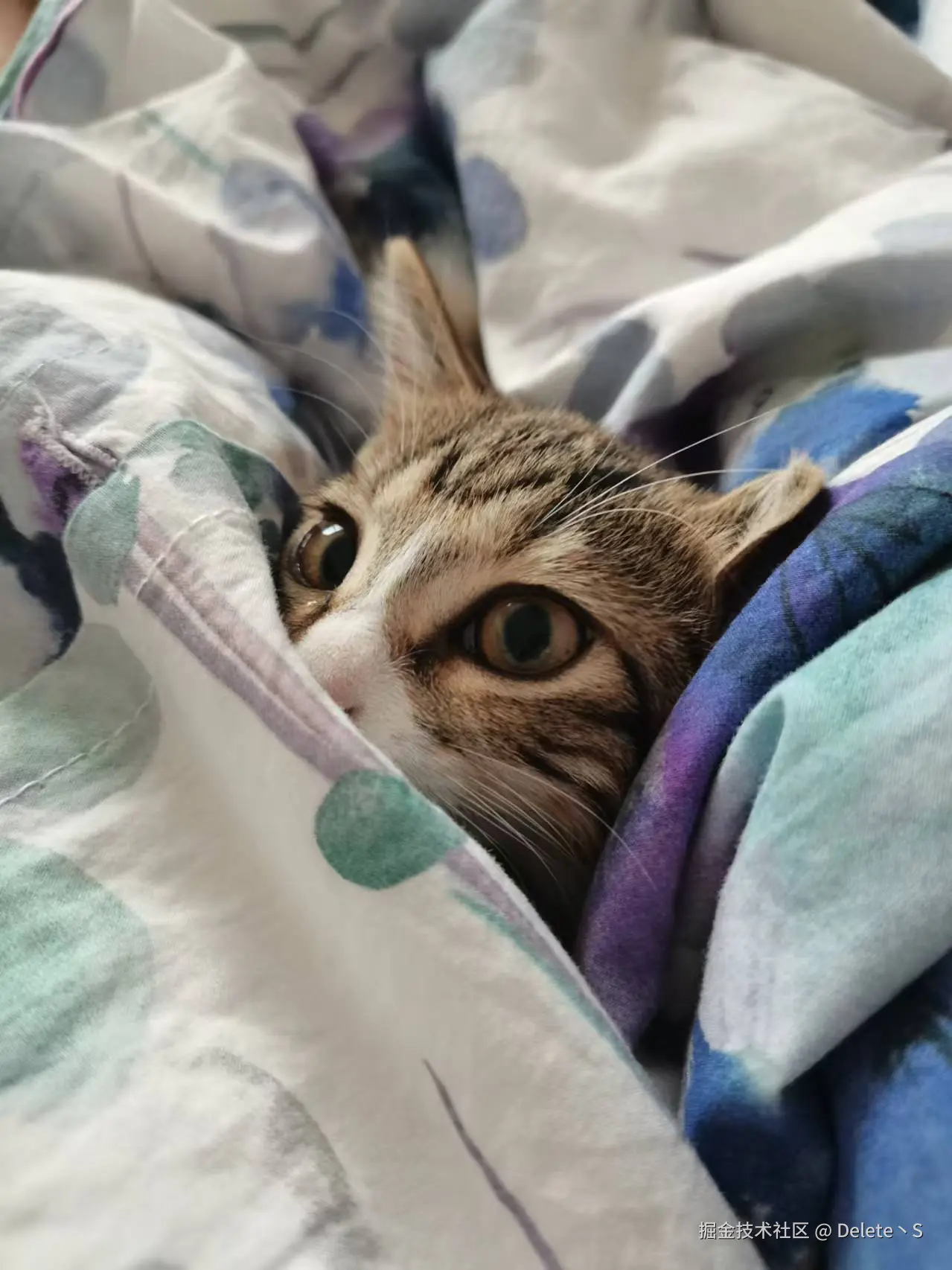 Delete丶S于2024-08-22 16:54发布的图片