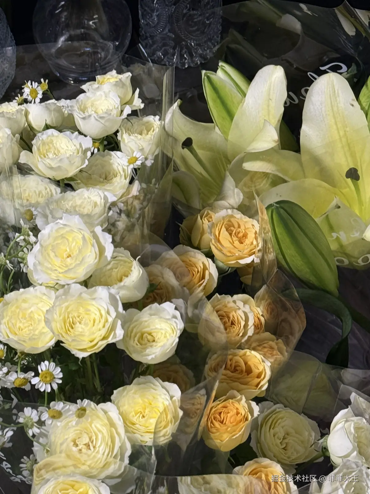 菲菲大王于2025-10-21 11:38发布的图片