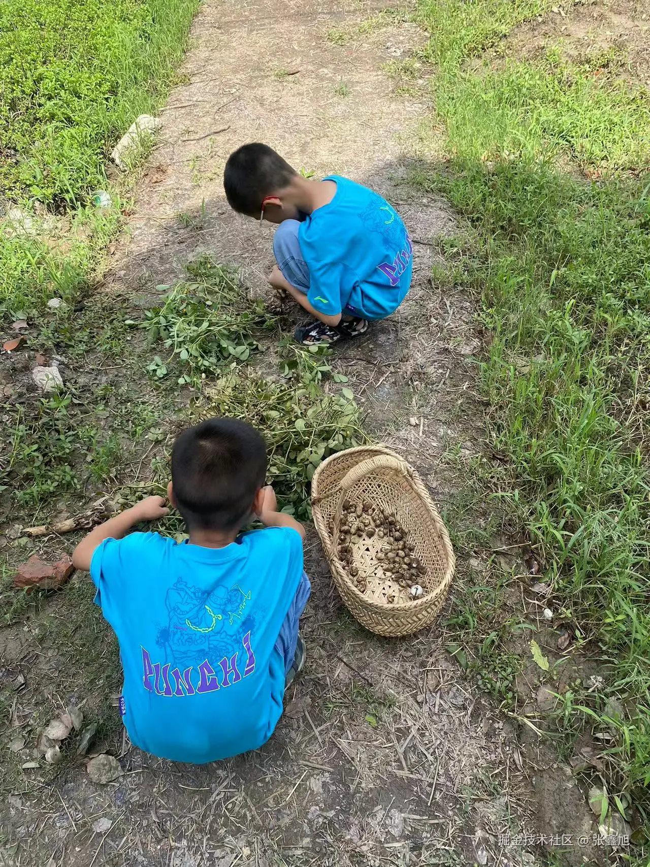 张鑫旭于2024-09-23 11:46发布的图片