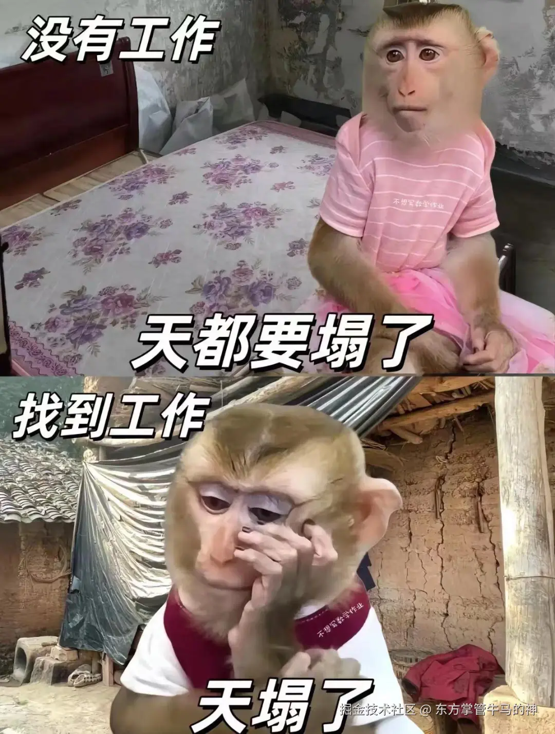 东方掌管牛马的神于2024-07-30 16:50发布的图片