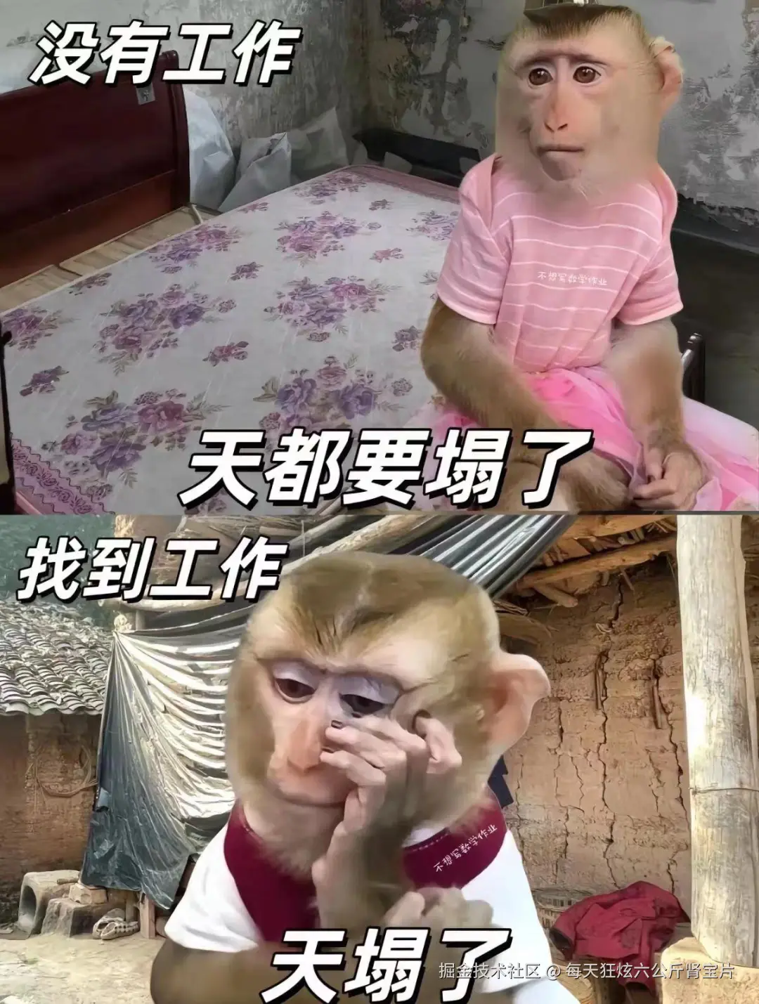 每天狂炫六公斤肾宝片于2024-07-30 16:50发布的图片