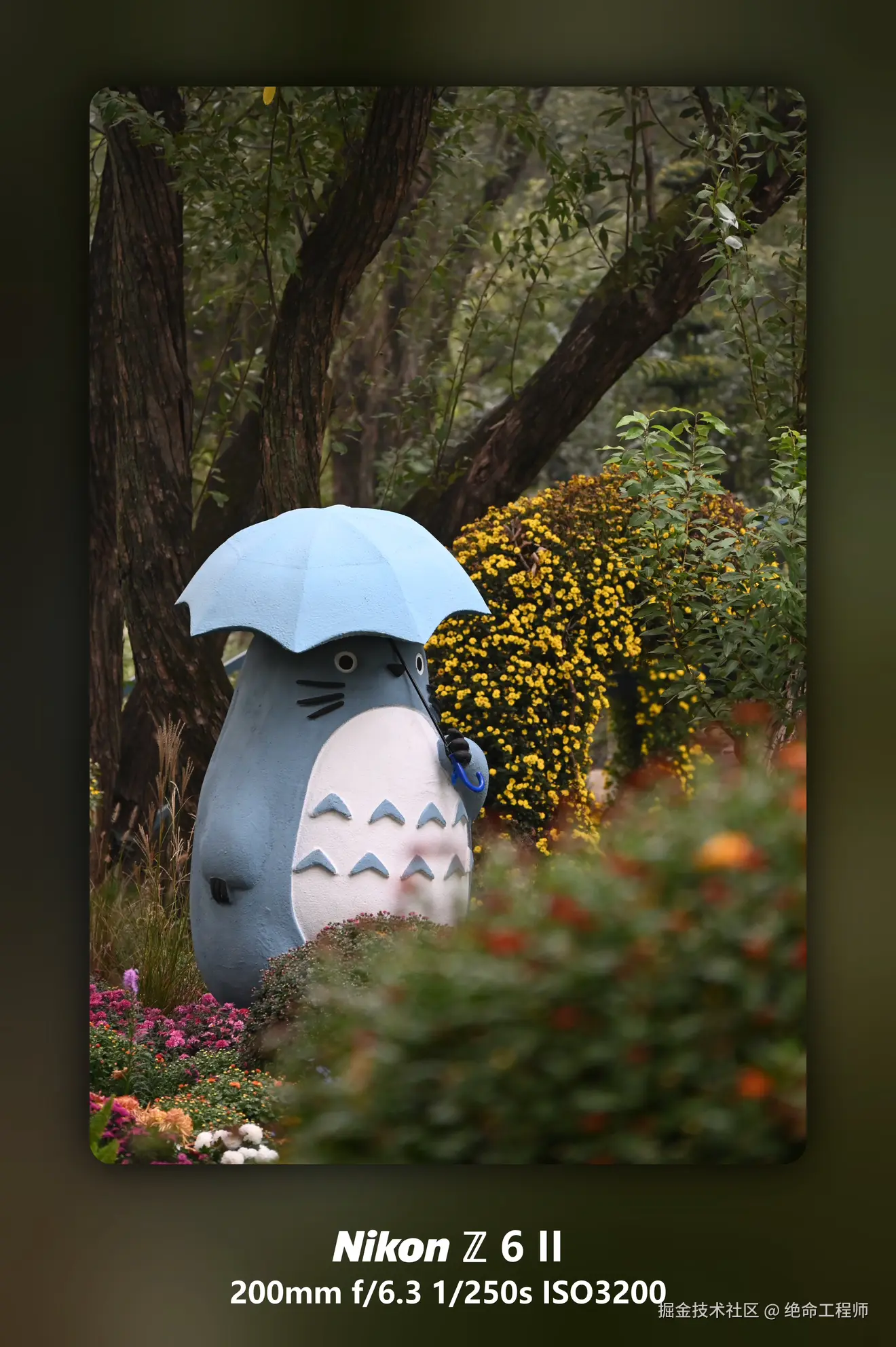 绝命工程师于2025-11-11 09:28发布的图片