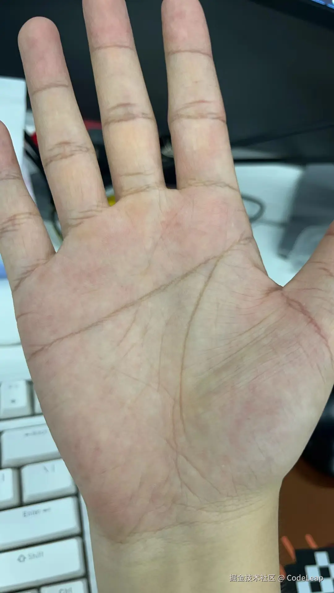 CodeLeap于2024-07-29 10:17发布的图片