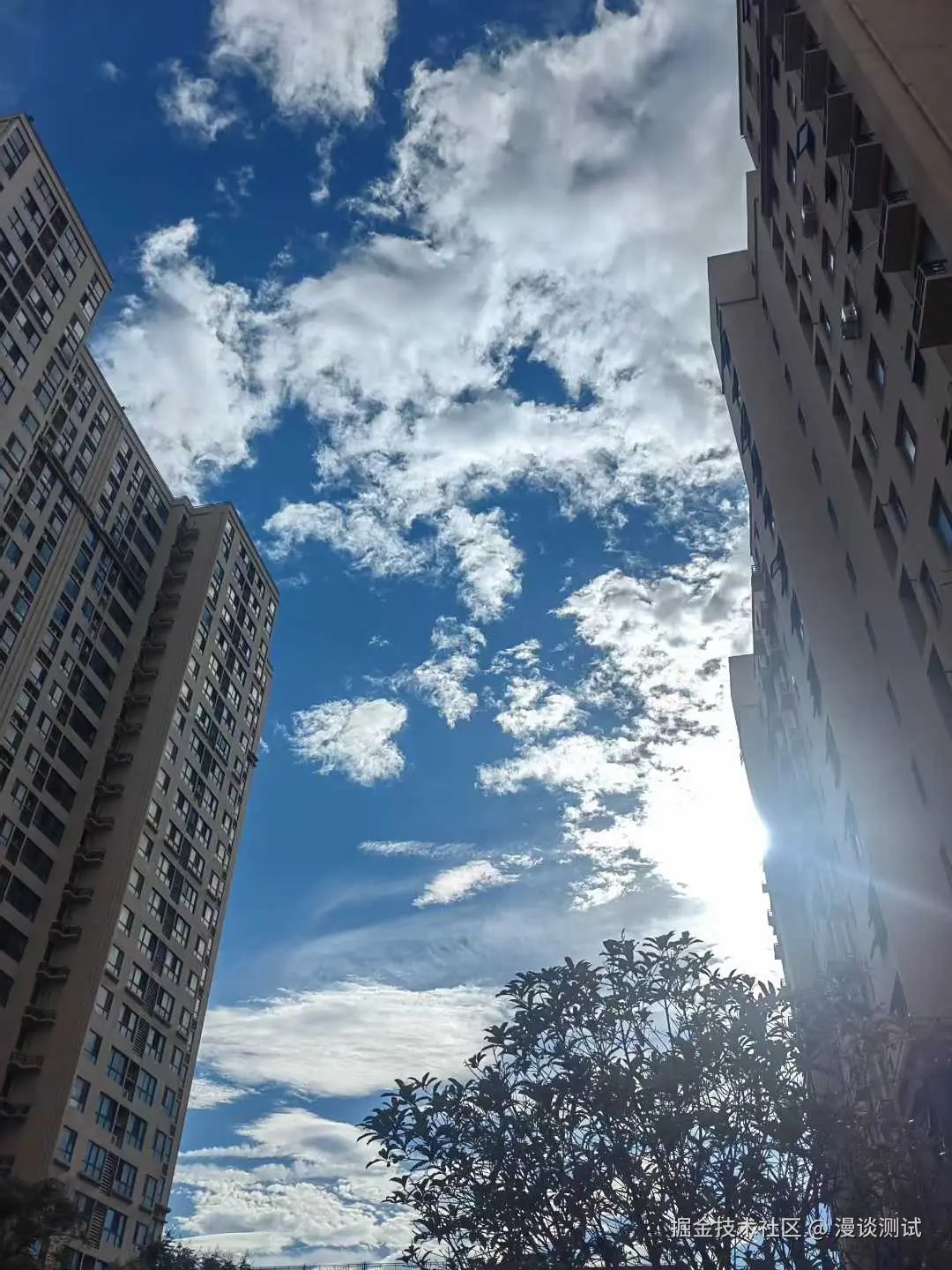 漫谈测试于2025-08-16 10:38发布的图片