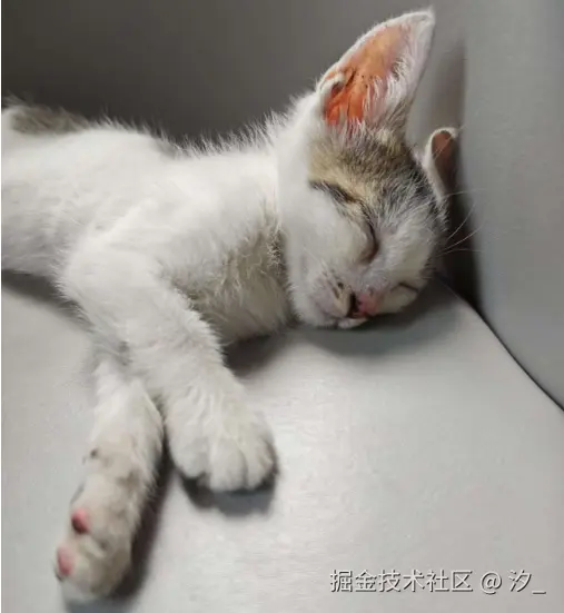 汐_于2025-06-27 12:05发布的图片